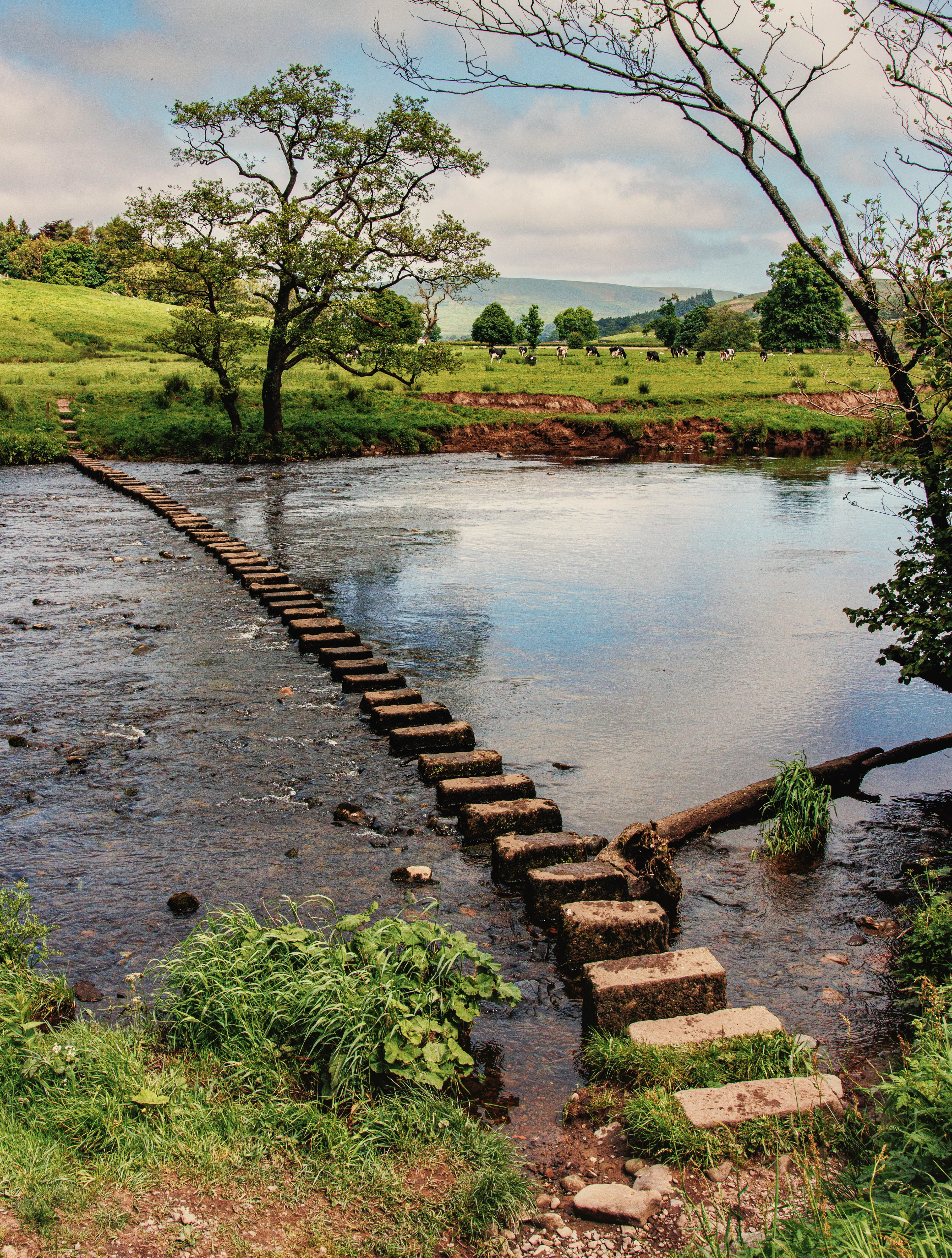 No59 Whiewell Stepping Stones