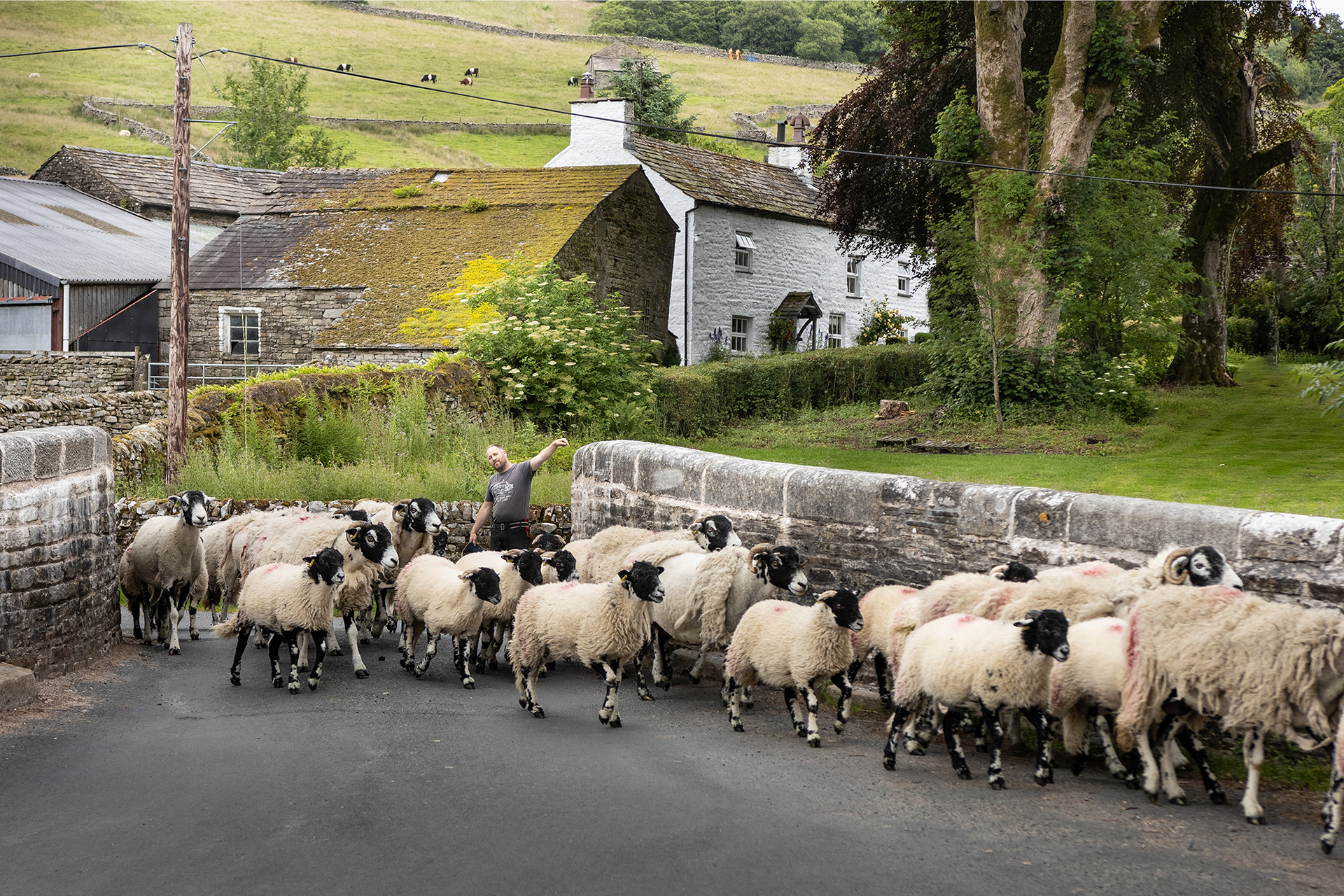 No25 Dales Gridlock