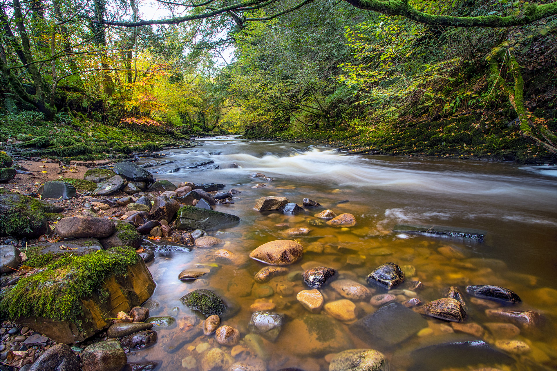 No32 River Brock