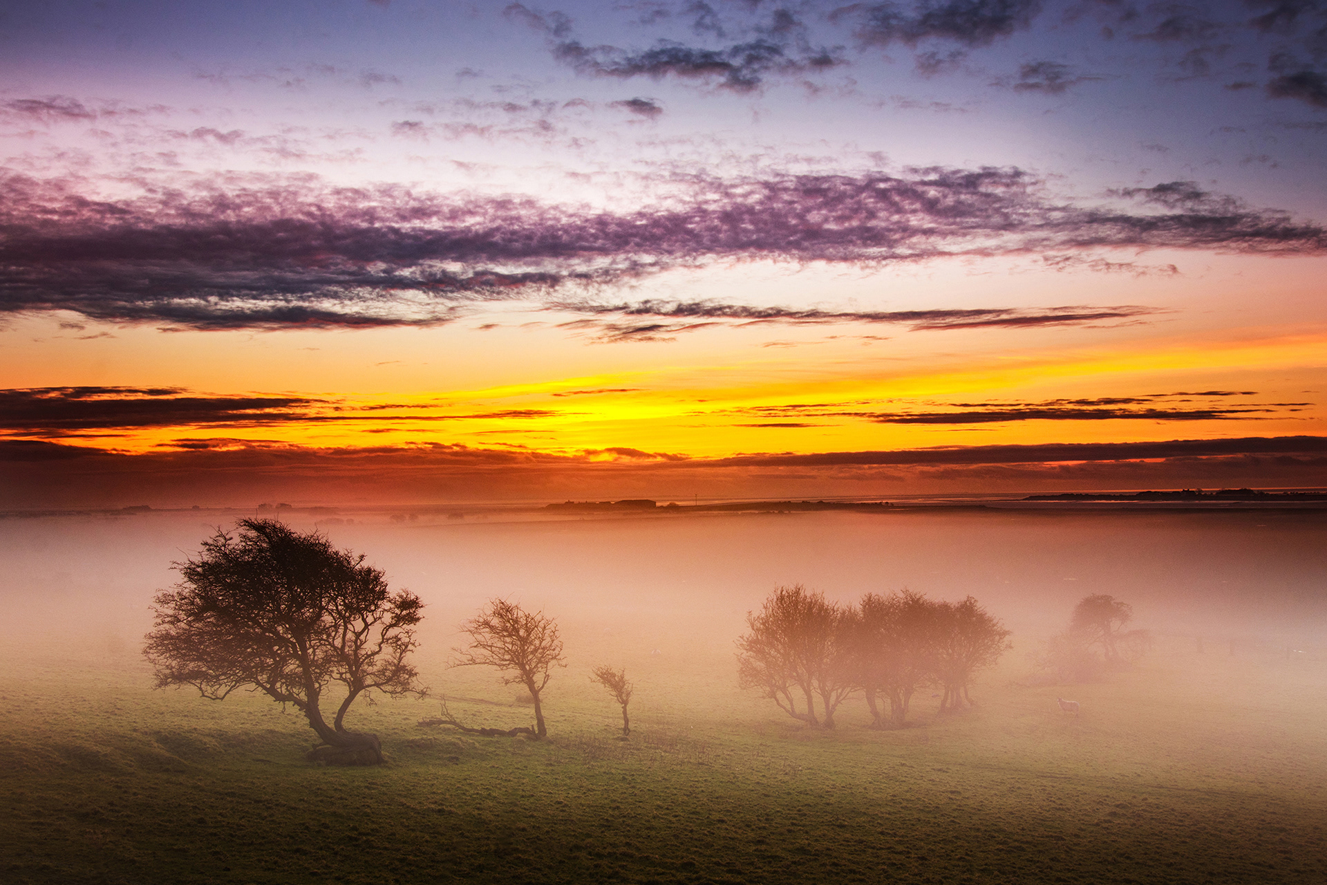 No27 Bodie Hill Sunset