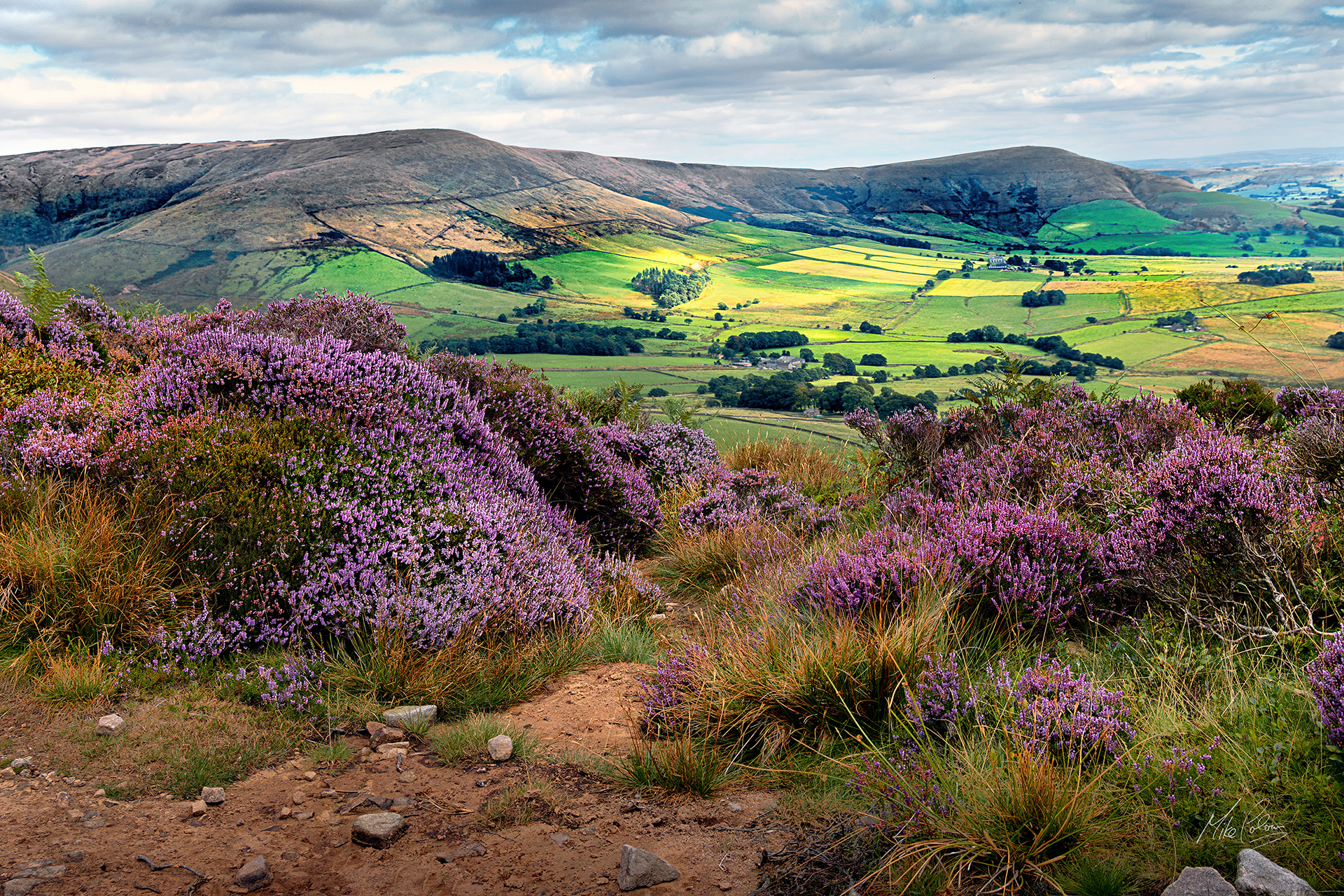 No1 Bleasdale Heather