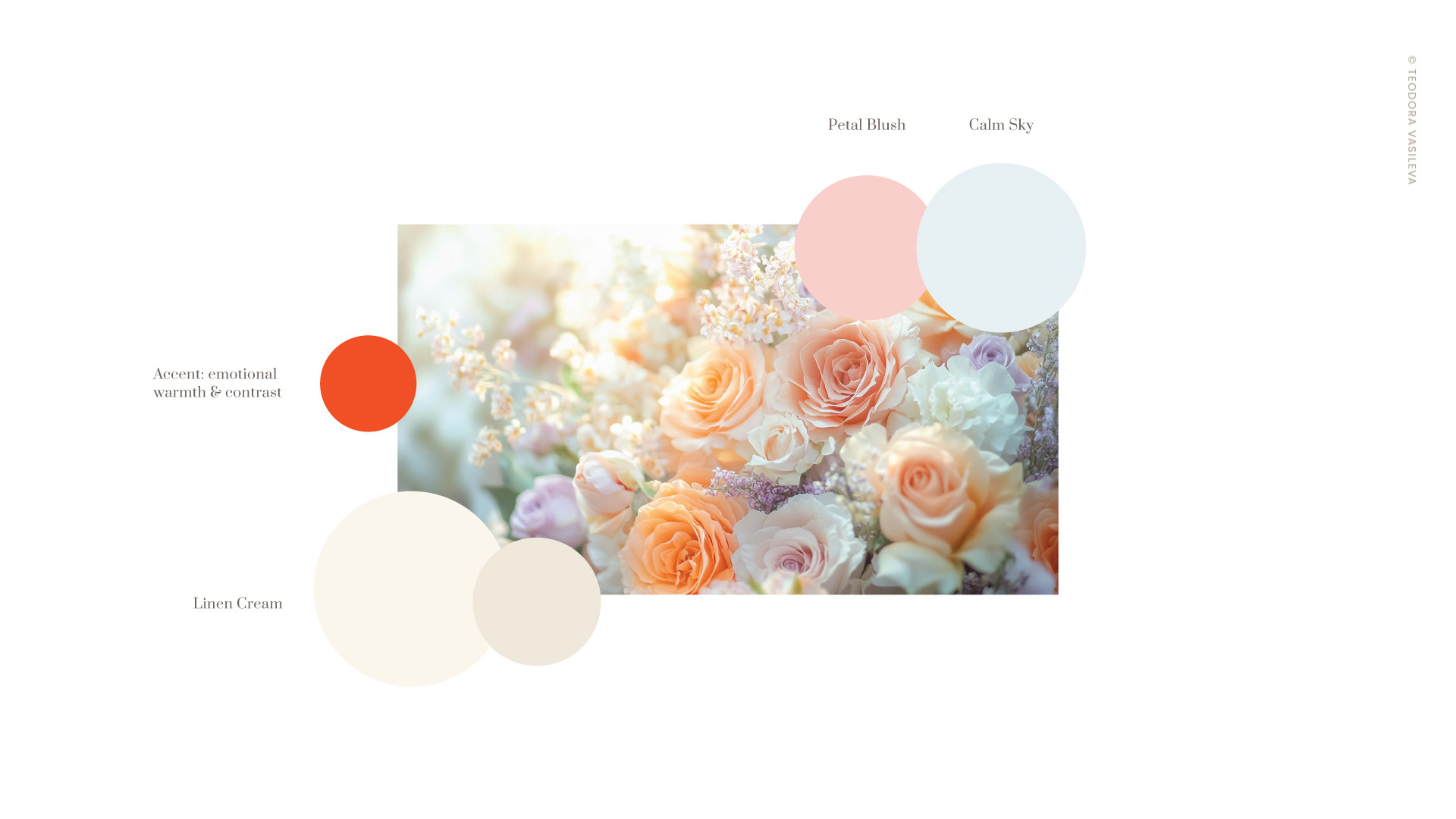 Colour Palette.