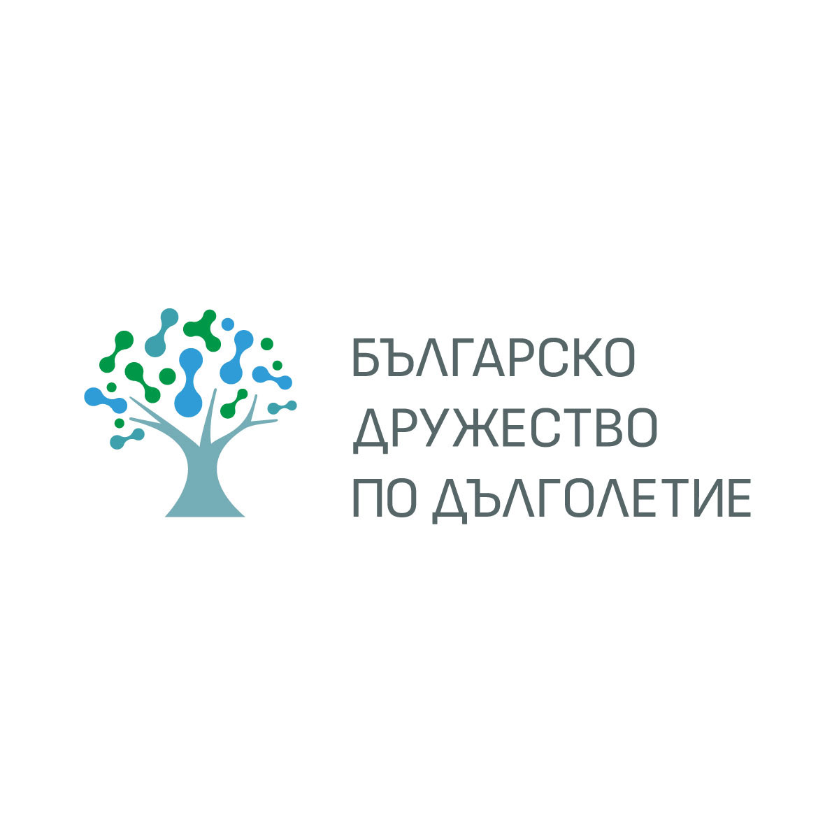 Primary Logo