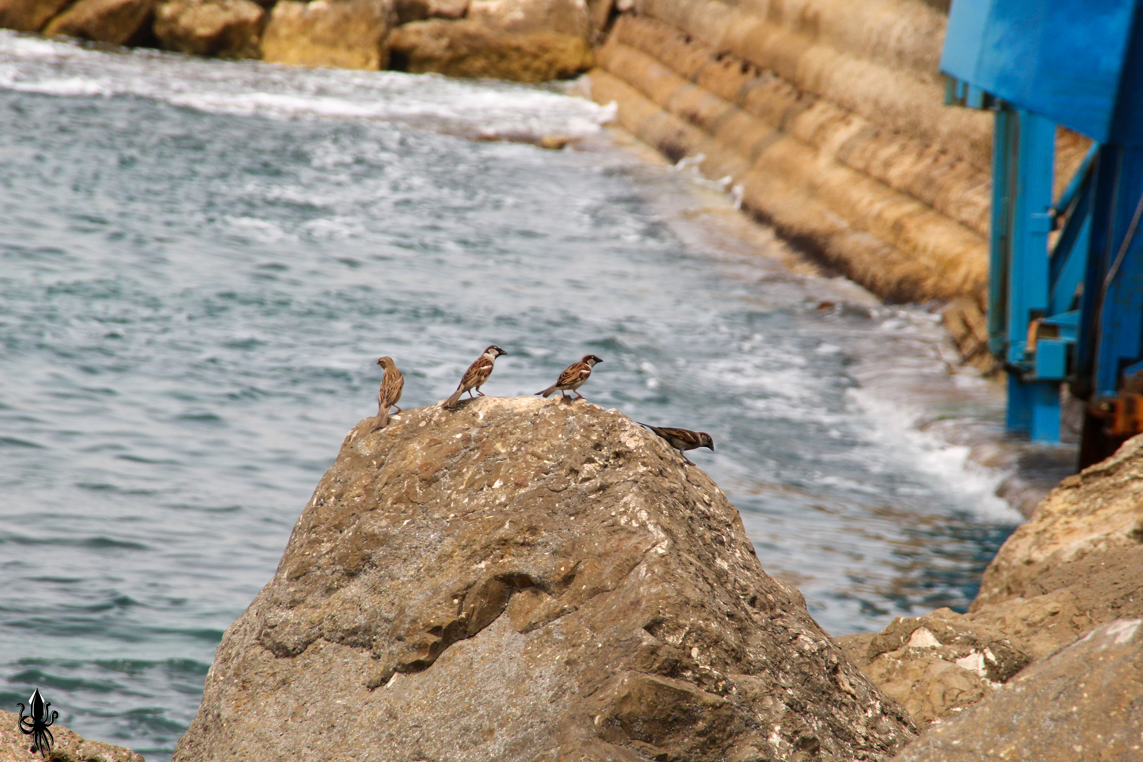 מרינה בהרצליה