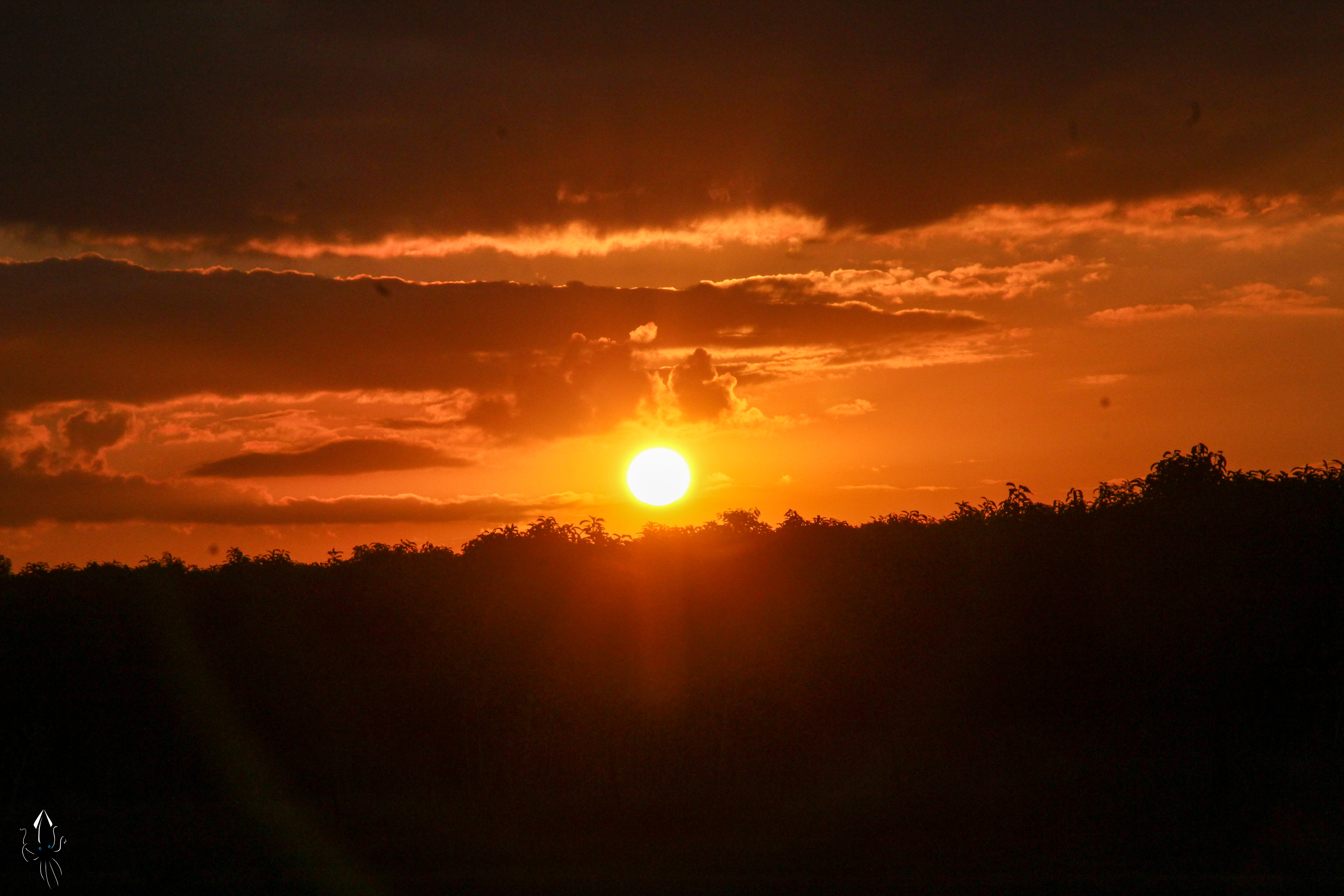 פרדס חנה כרכור
