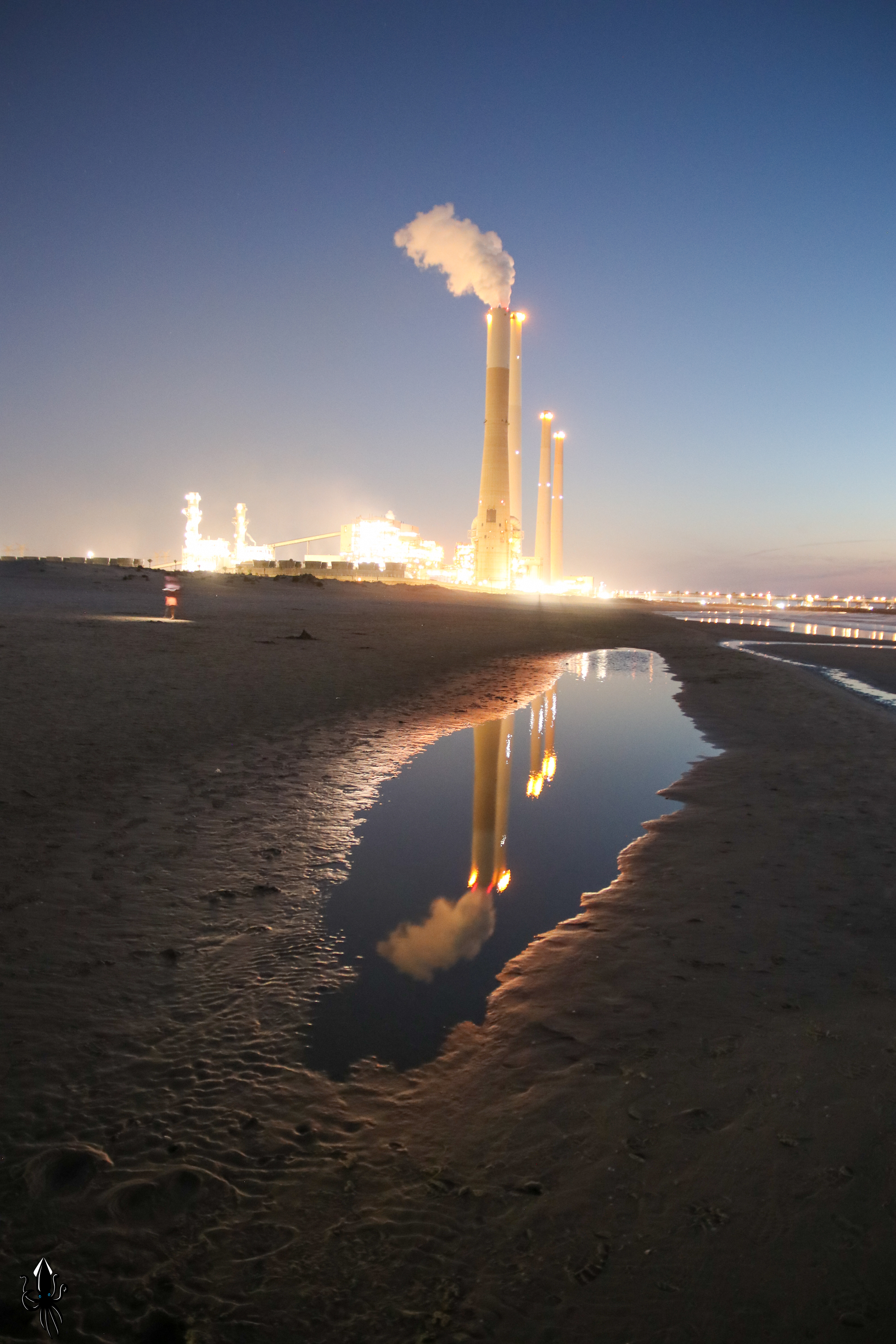 שדות ים בלילה