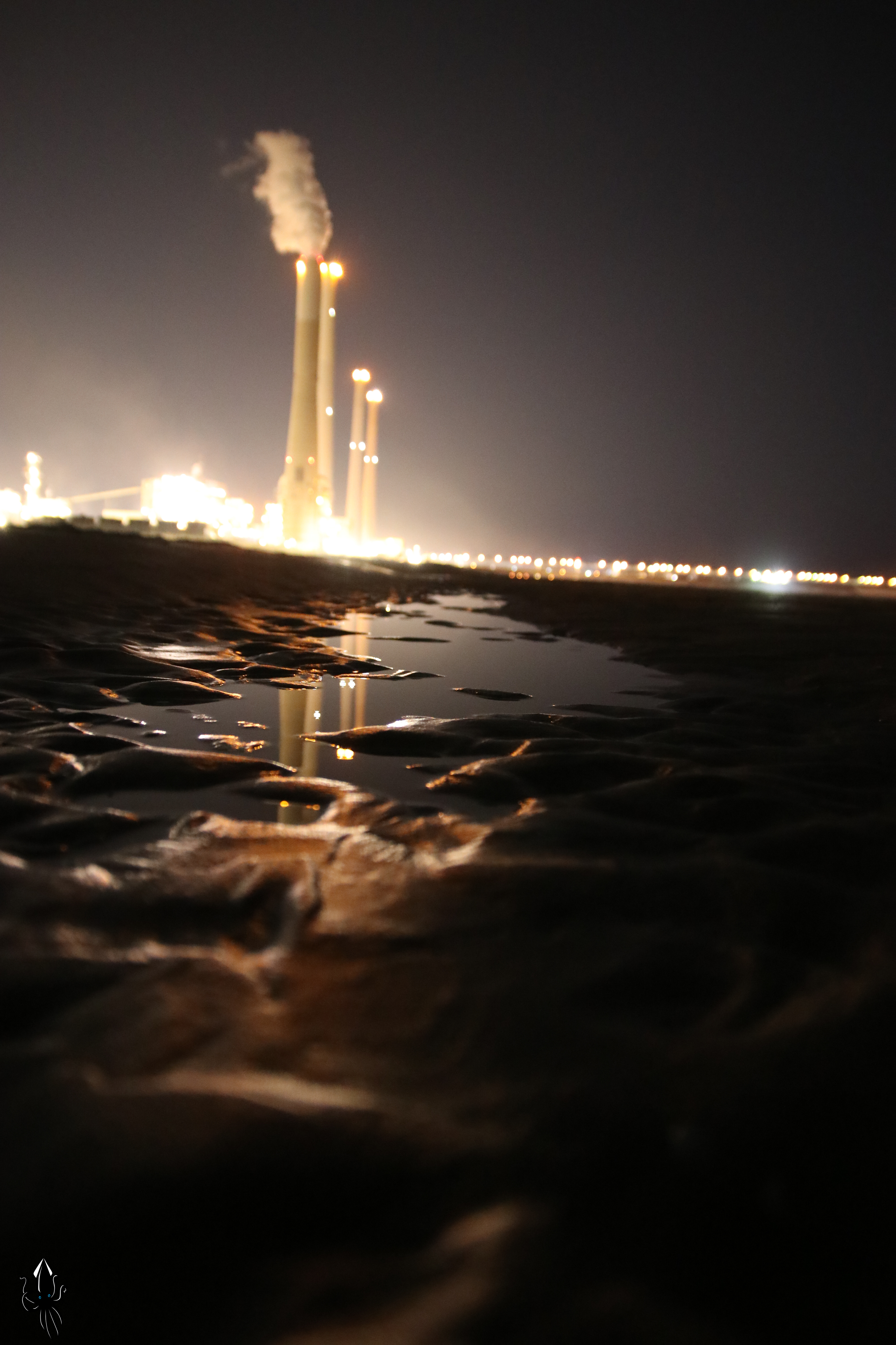 שדות ים בלילה