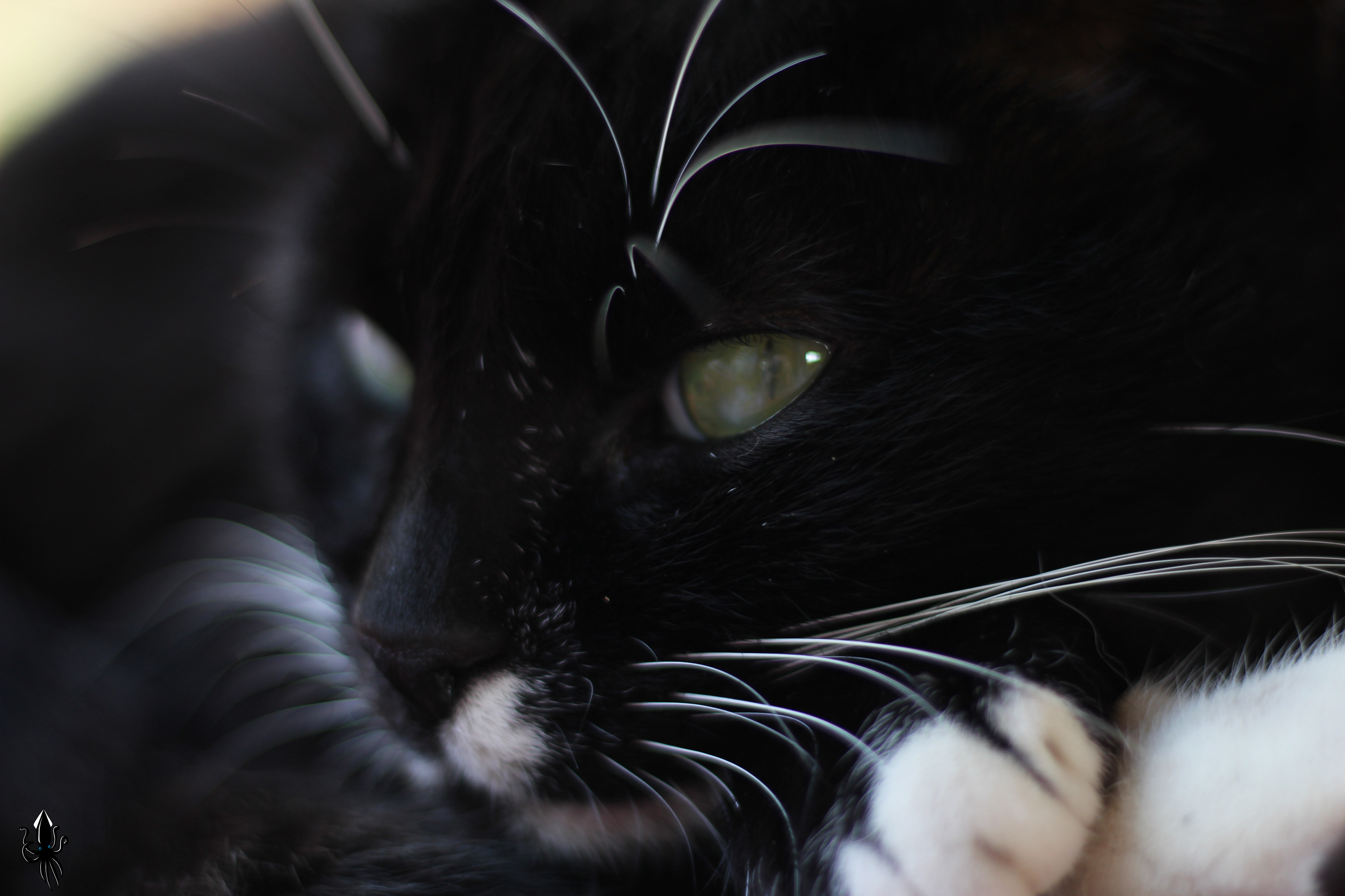 פרדס חנה כרכור