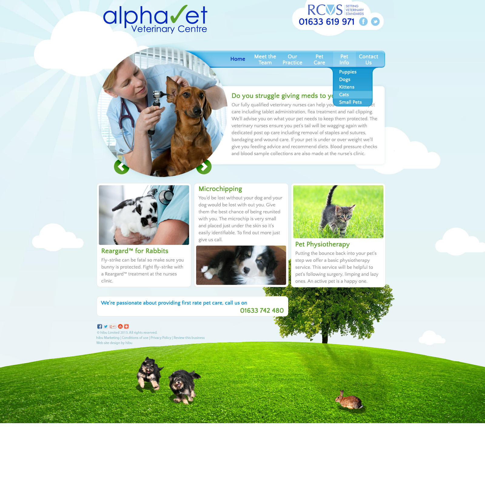 Alphavet Veterinary Centre Internal Page