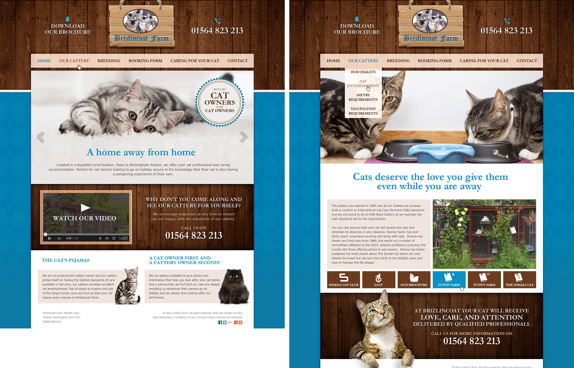 Brizlincoat Farm Cattery