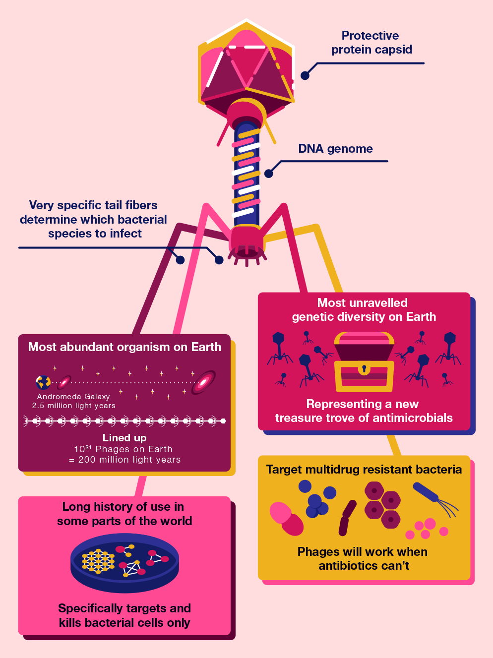 Infographics for articles