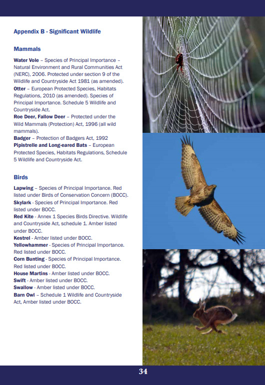 VDS Appendix