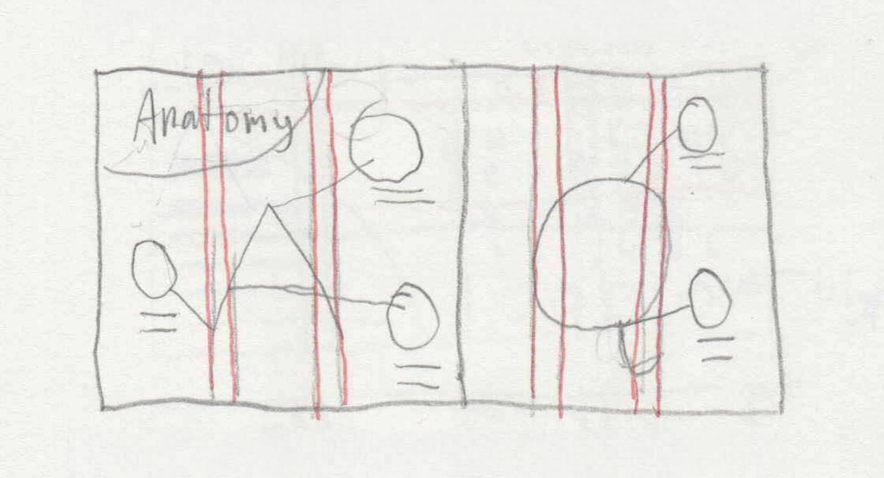 Original Sketch for Anatomy Spread