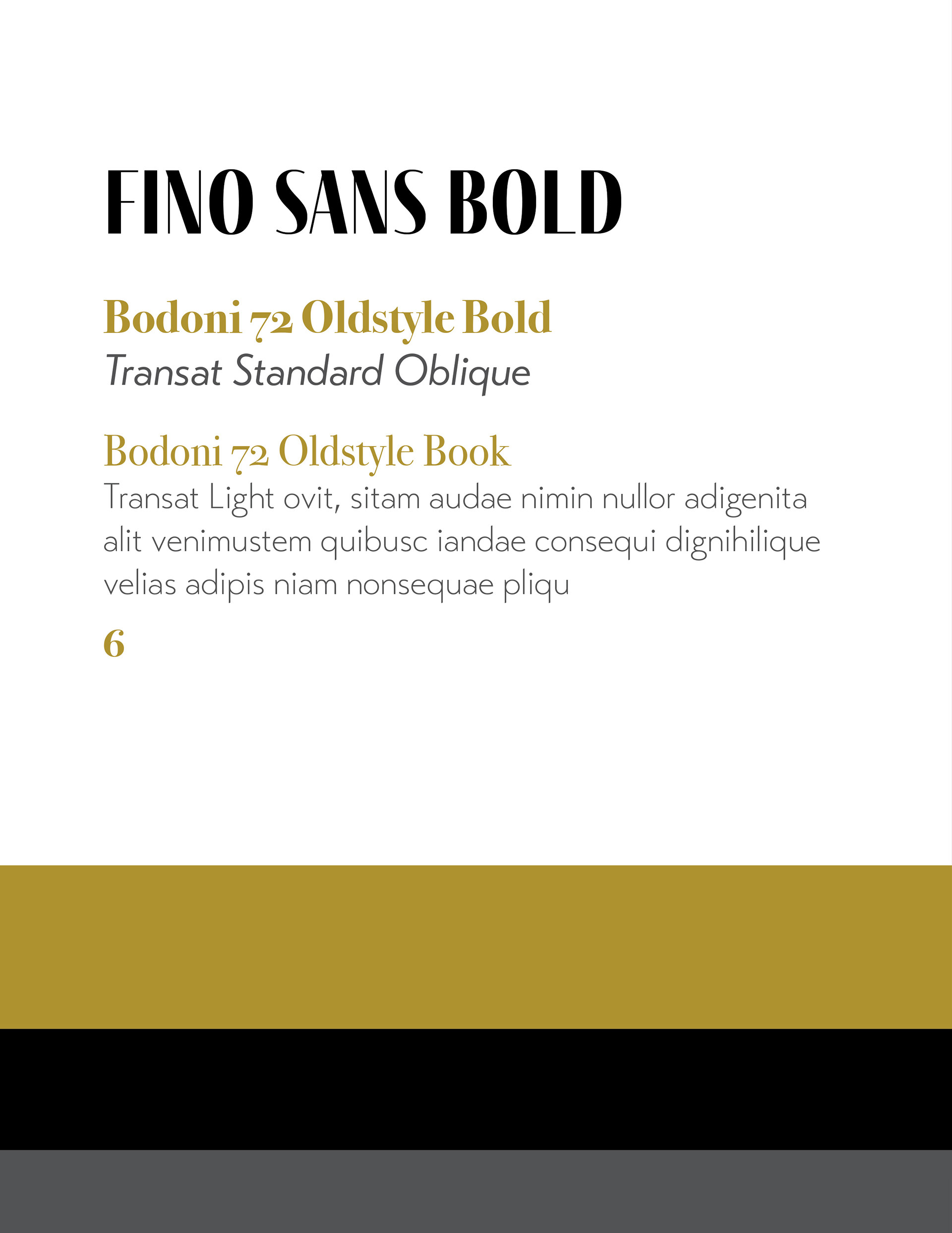 Type and Color System