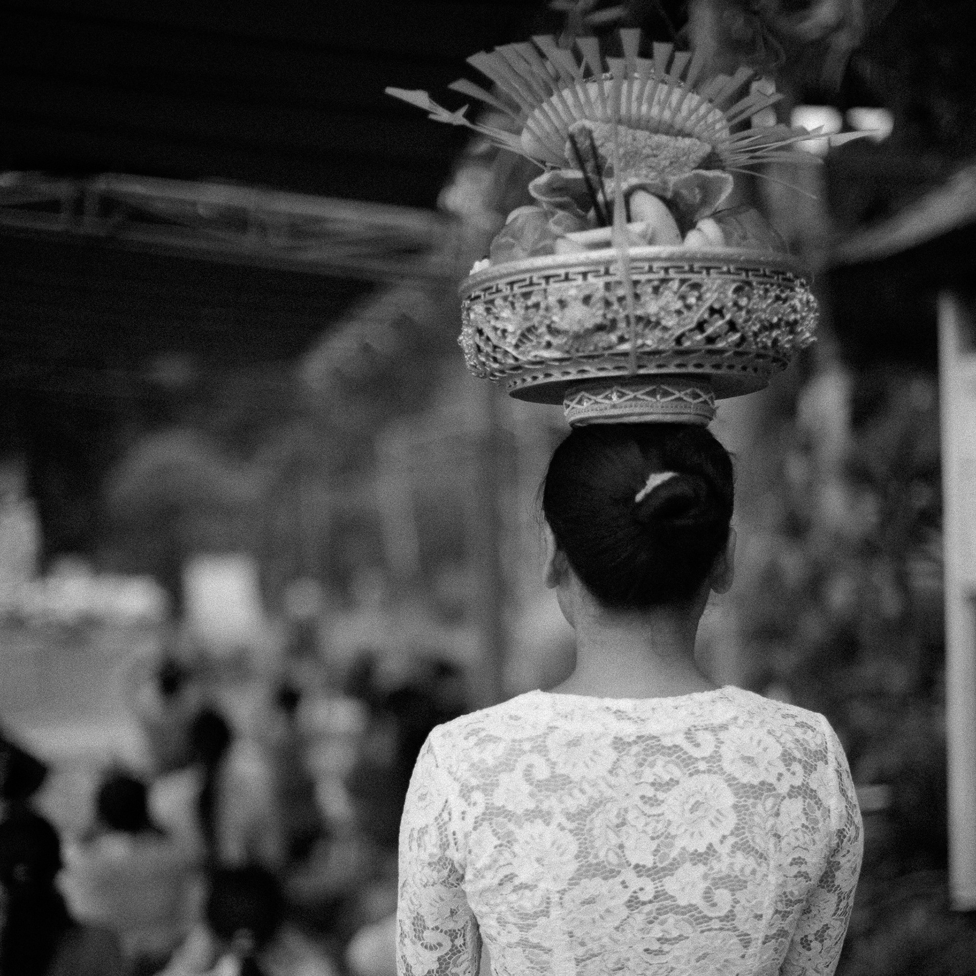 Hasselblad 500cm / Kodak TMax