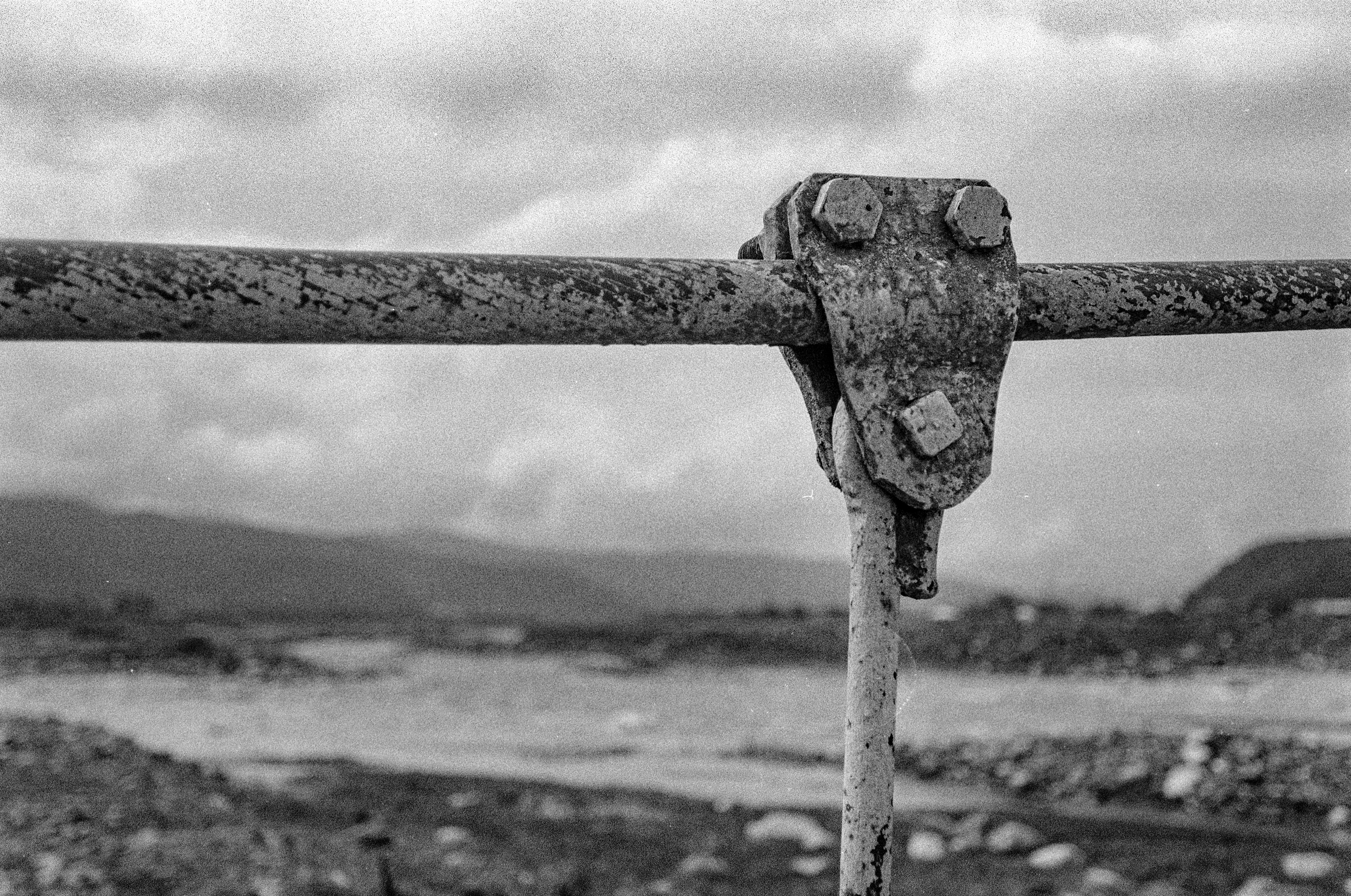 Canon 1n / Ilford HP5