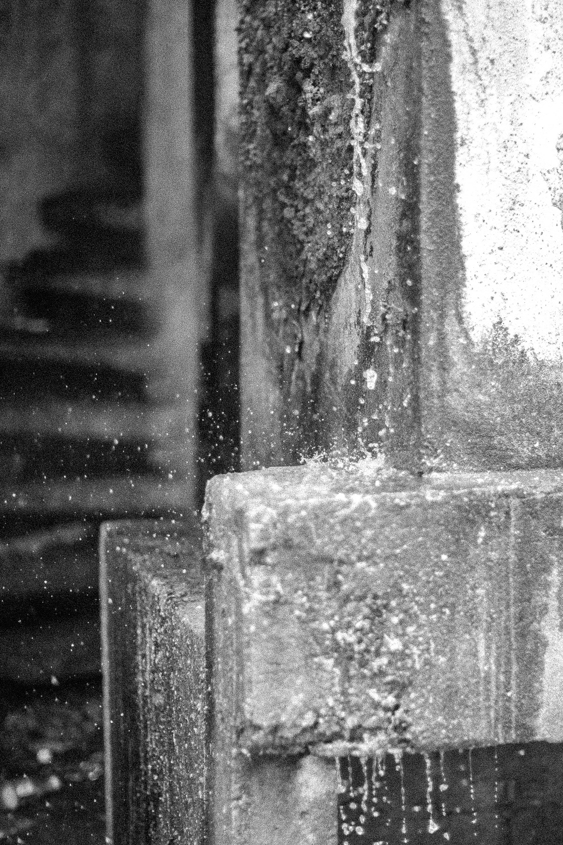 Canon EOS 5 / Ilford HP5