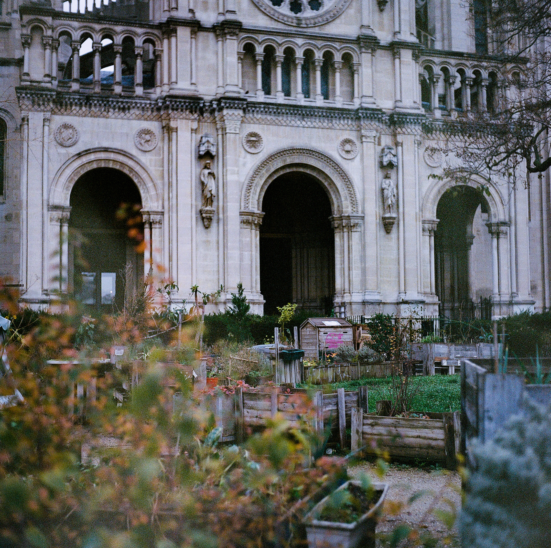 Rolleiflex T / Kodak Portra