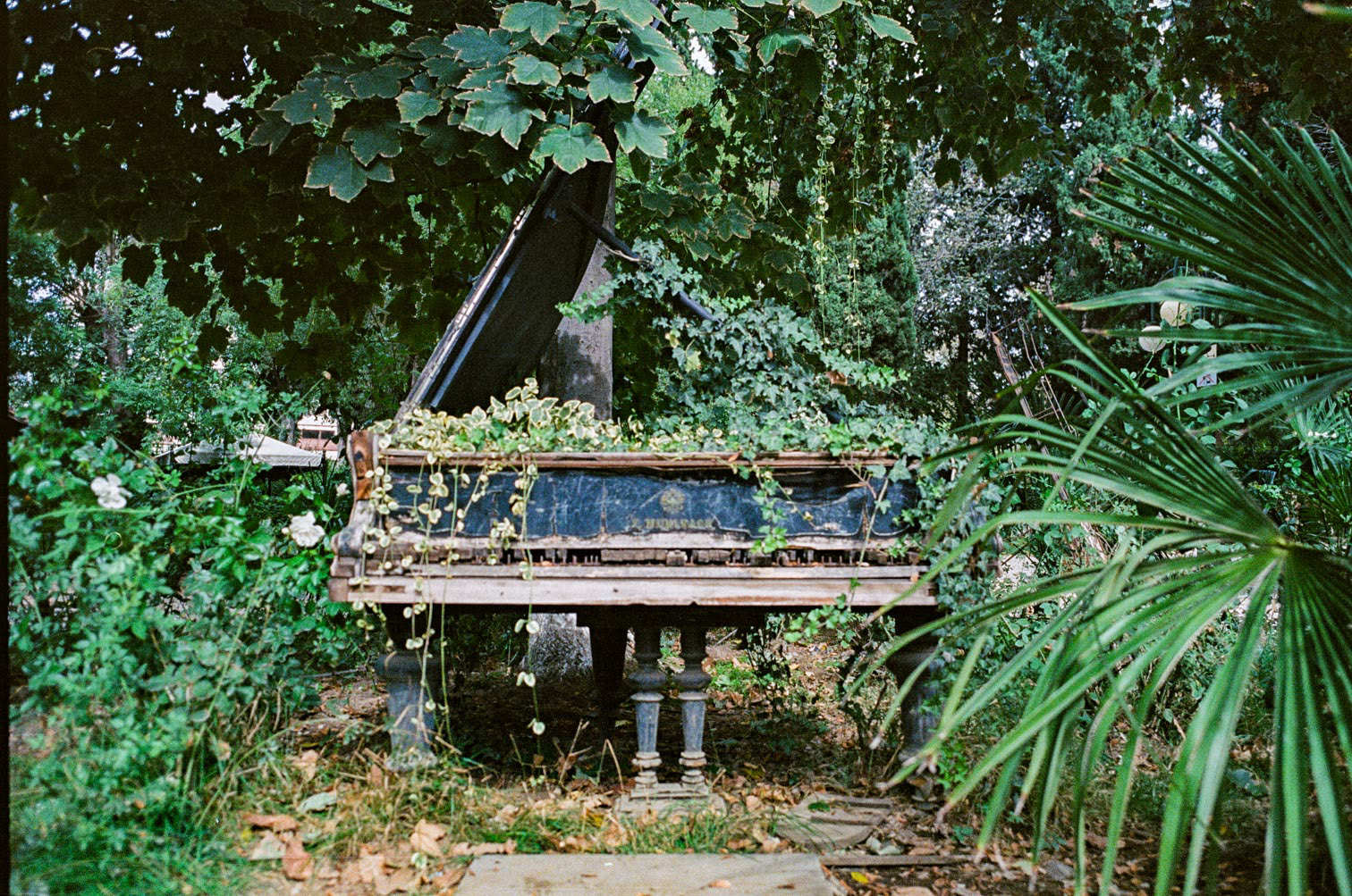 Contax G1 / Kodak Vision3
