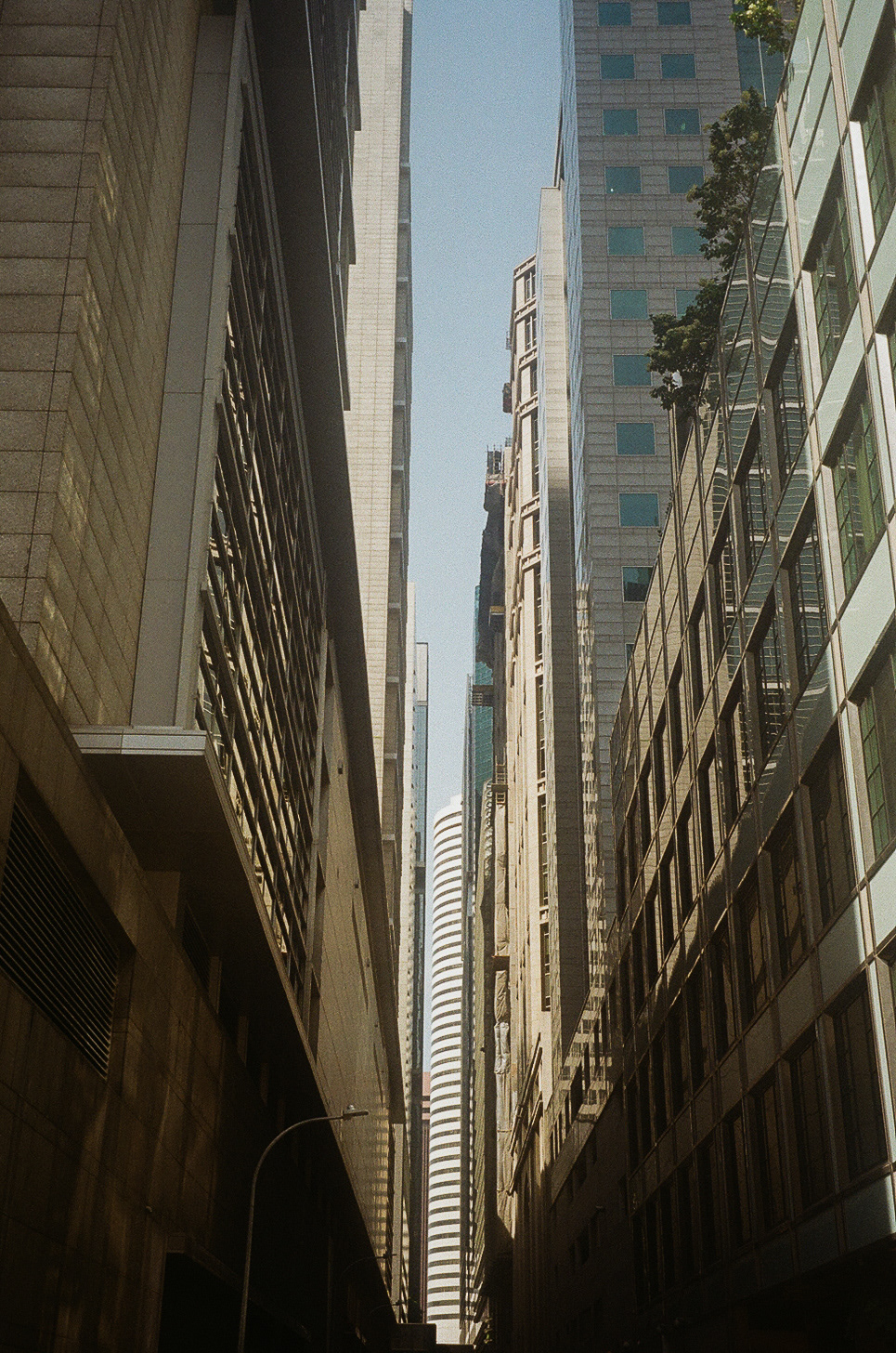 Canon EOS 5 / Kodak Gold