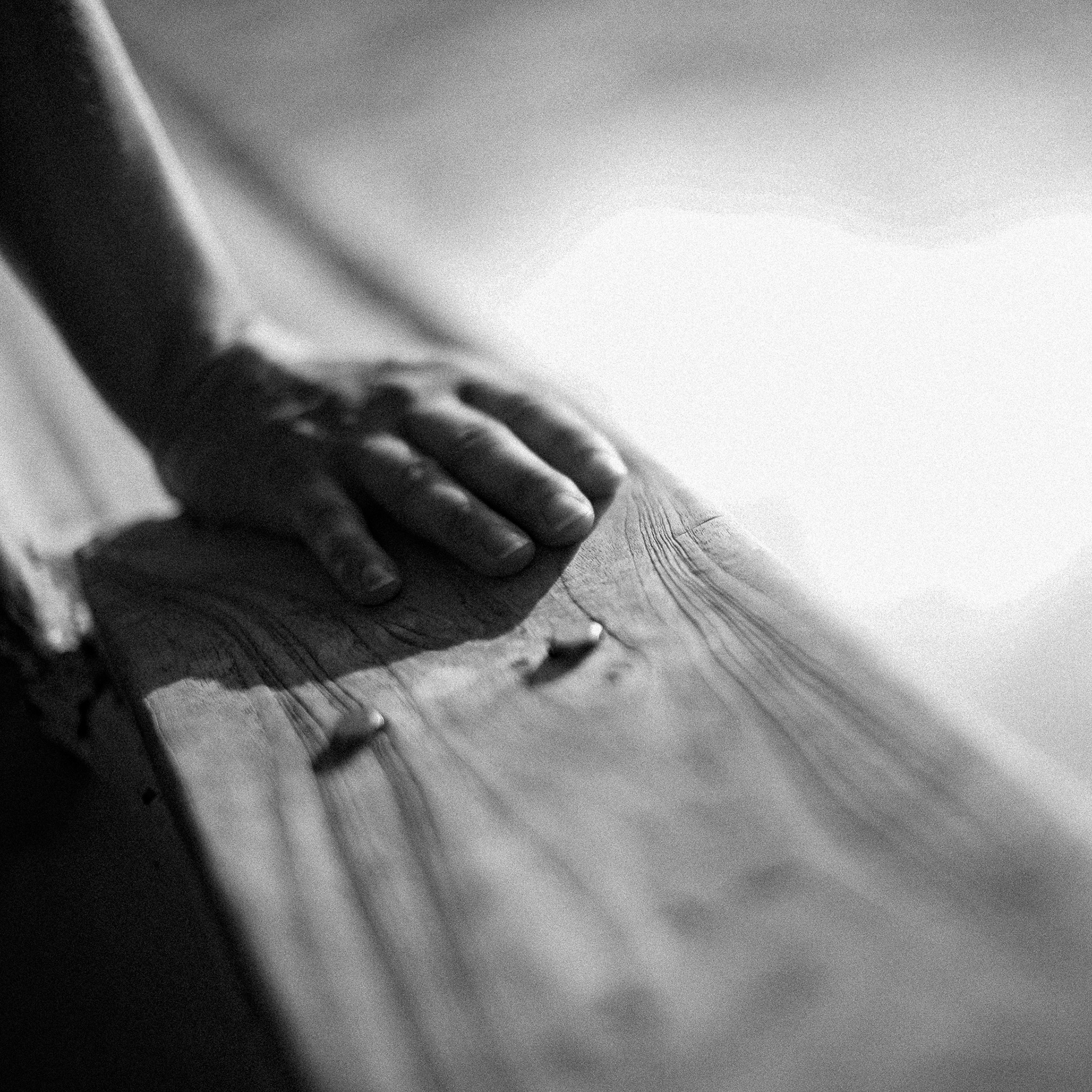 Hasselblad 500cm / Kodak TMax