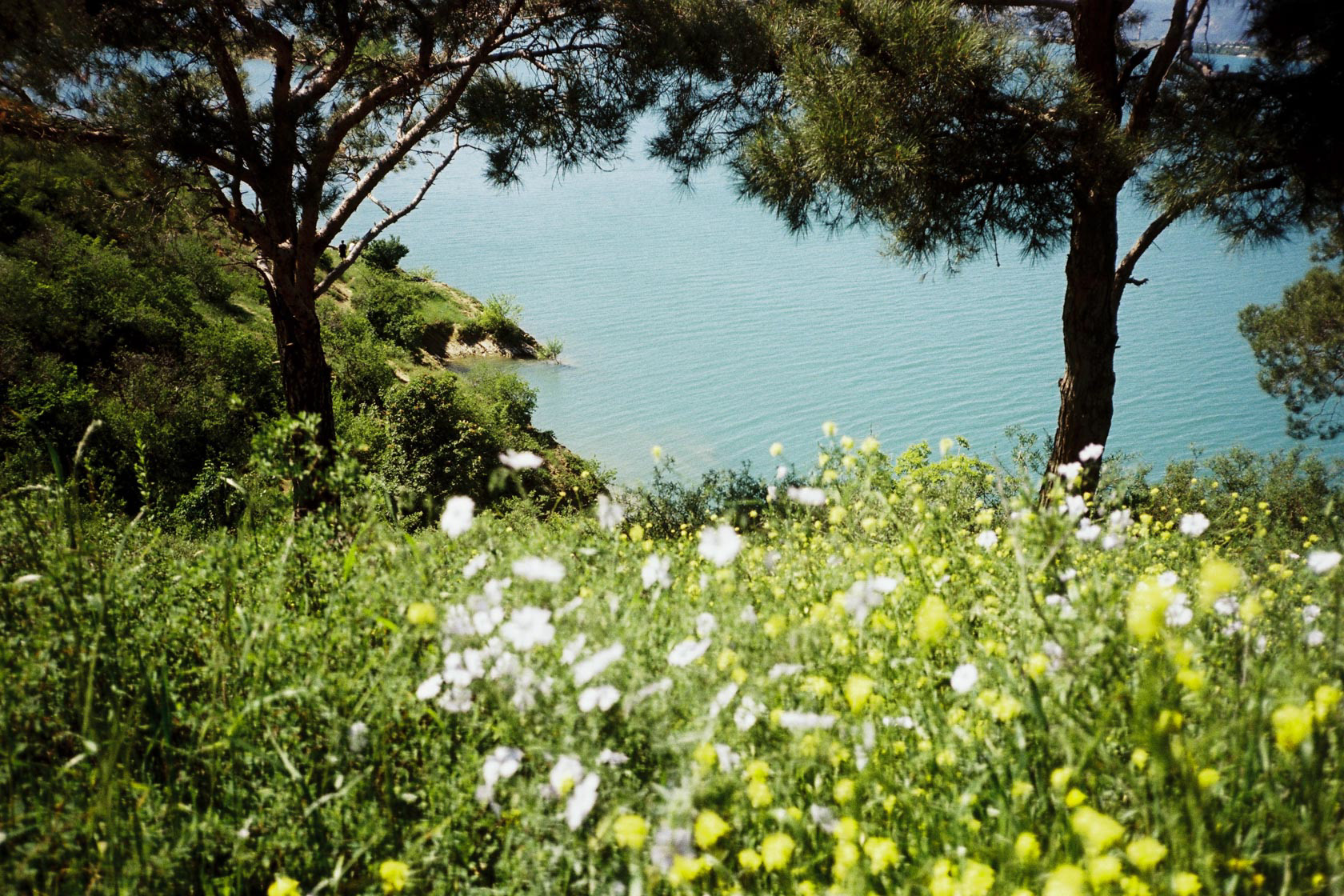 Contax G1 / Kodak Vision3