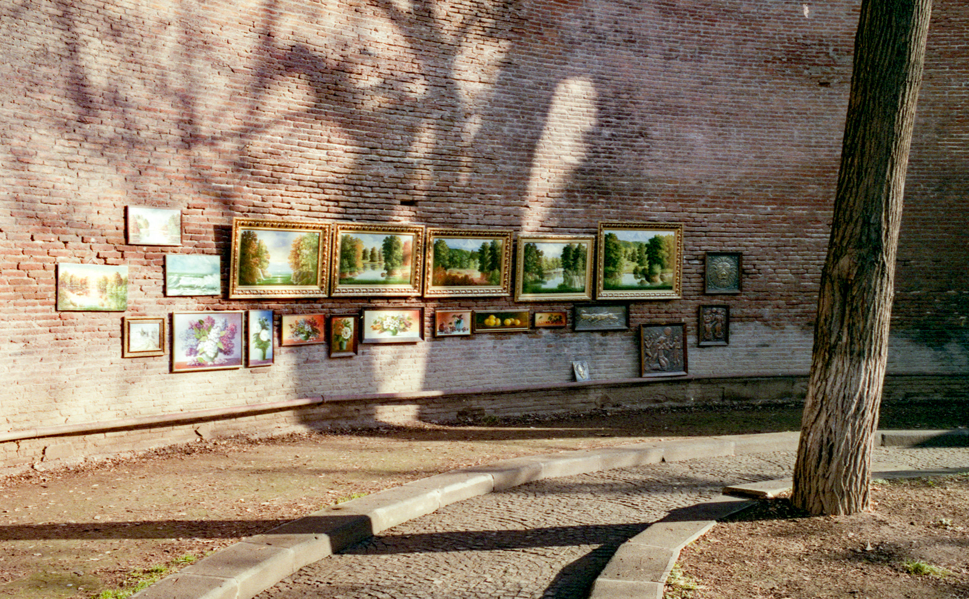 Nikon F3 / Fuji C200
