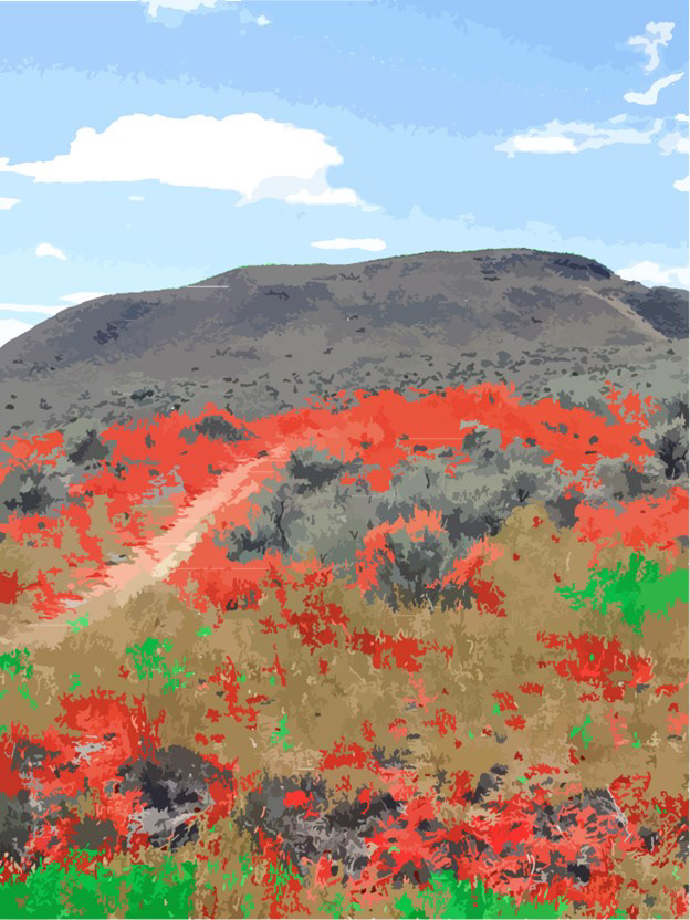 Image 2 - Kamloops Grasslands in the palette of Canadian Tire