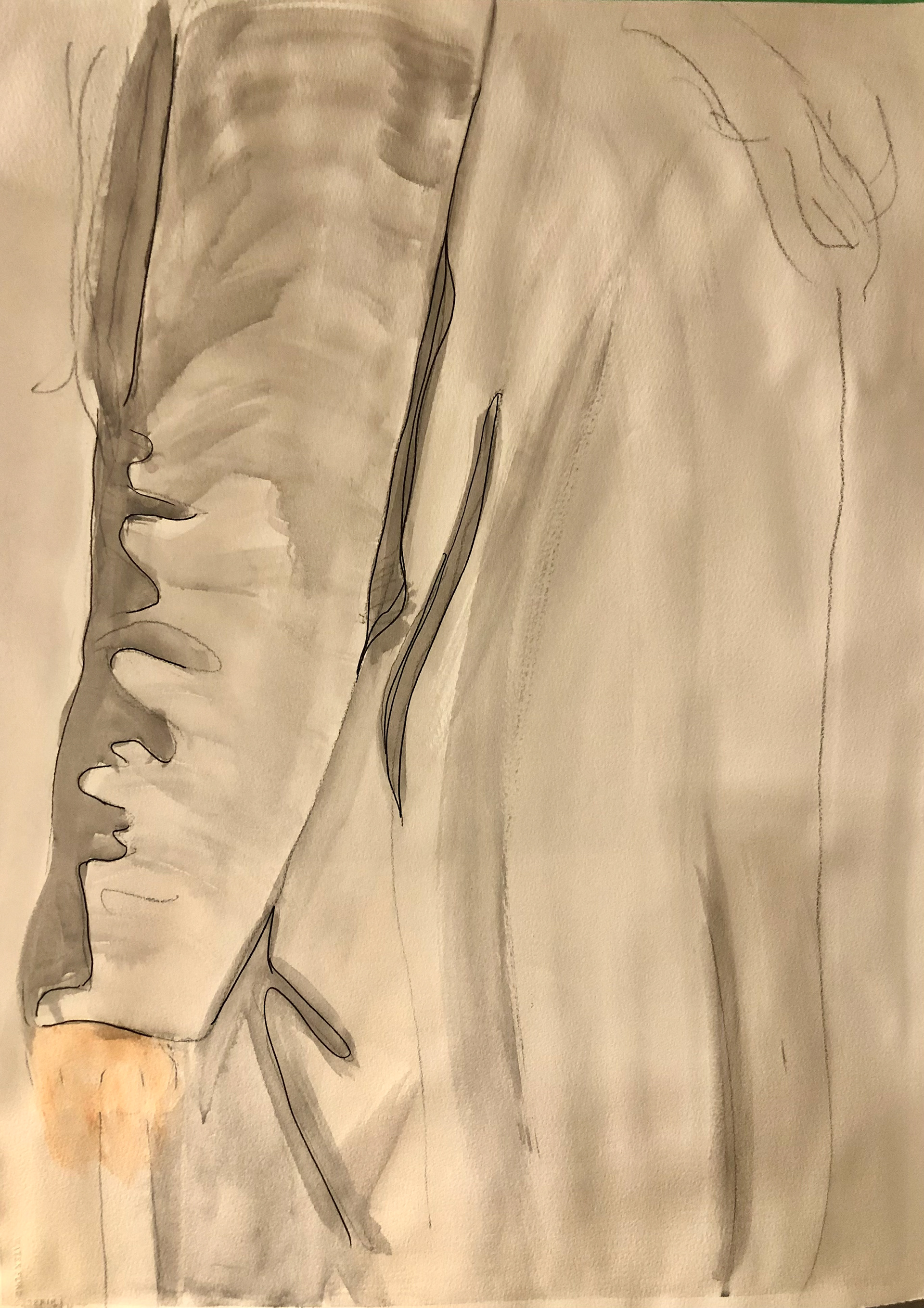 Artist Maureen Light