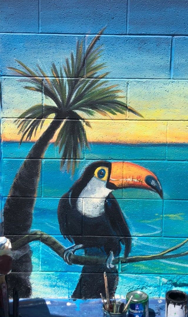 Toucan Close Up
