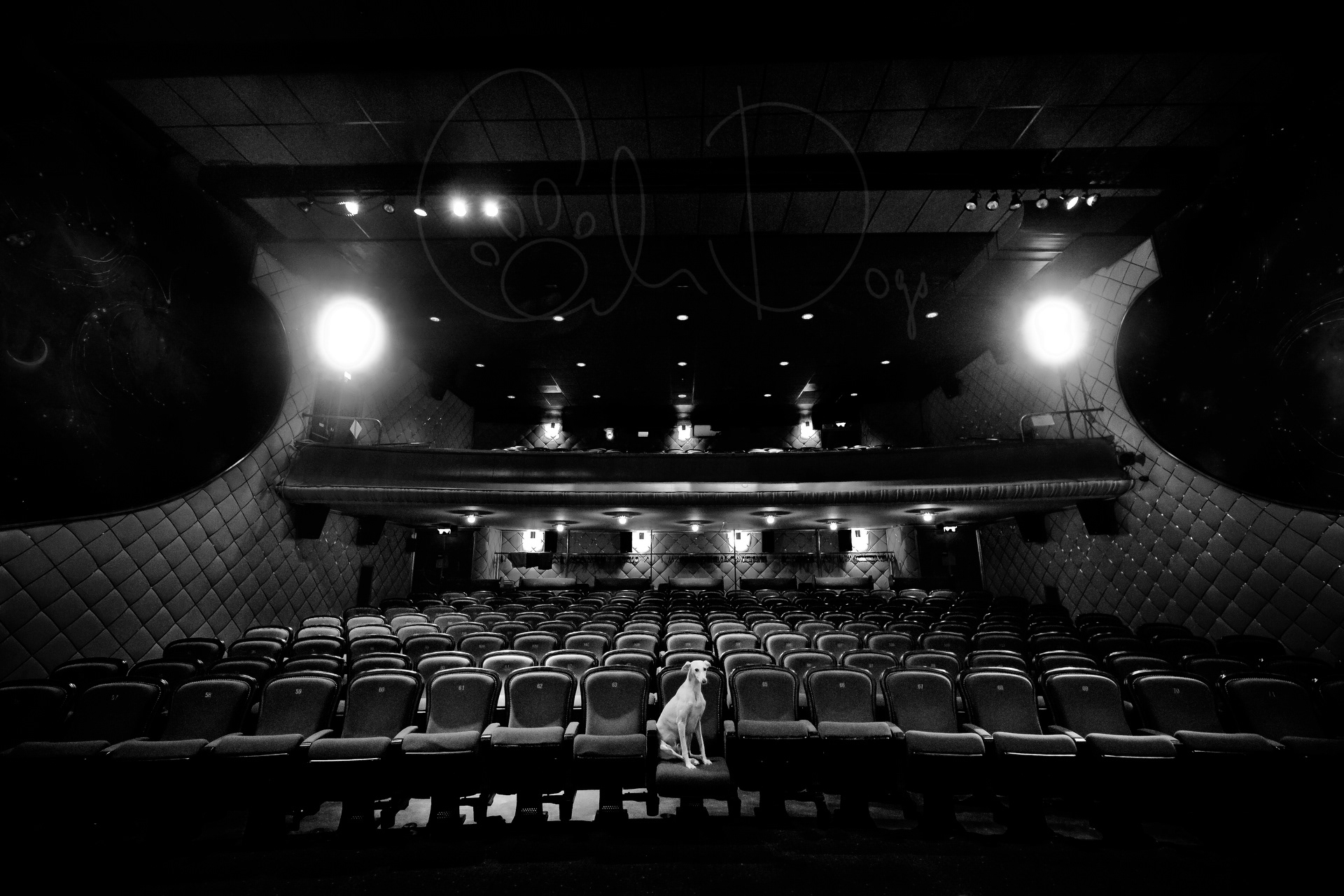 The Best Seat In The House