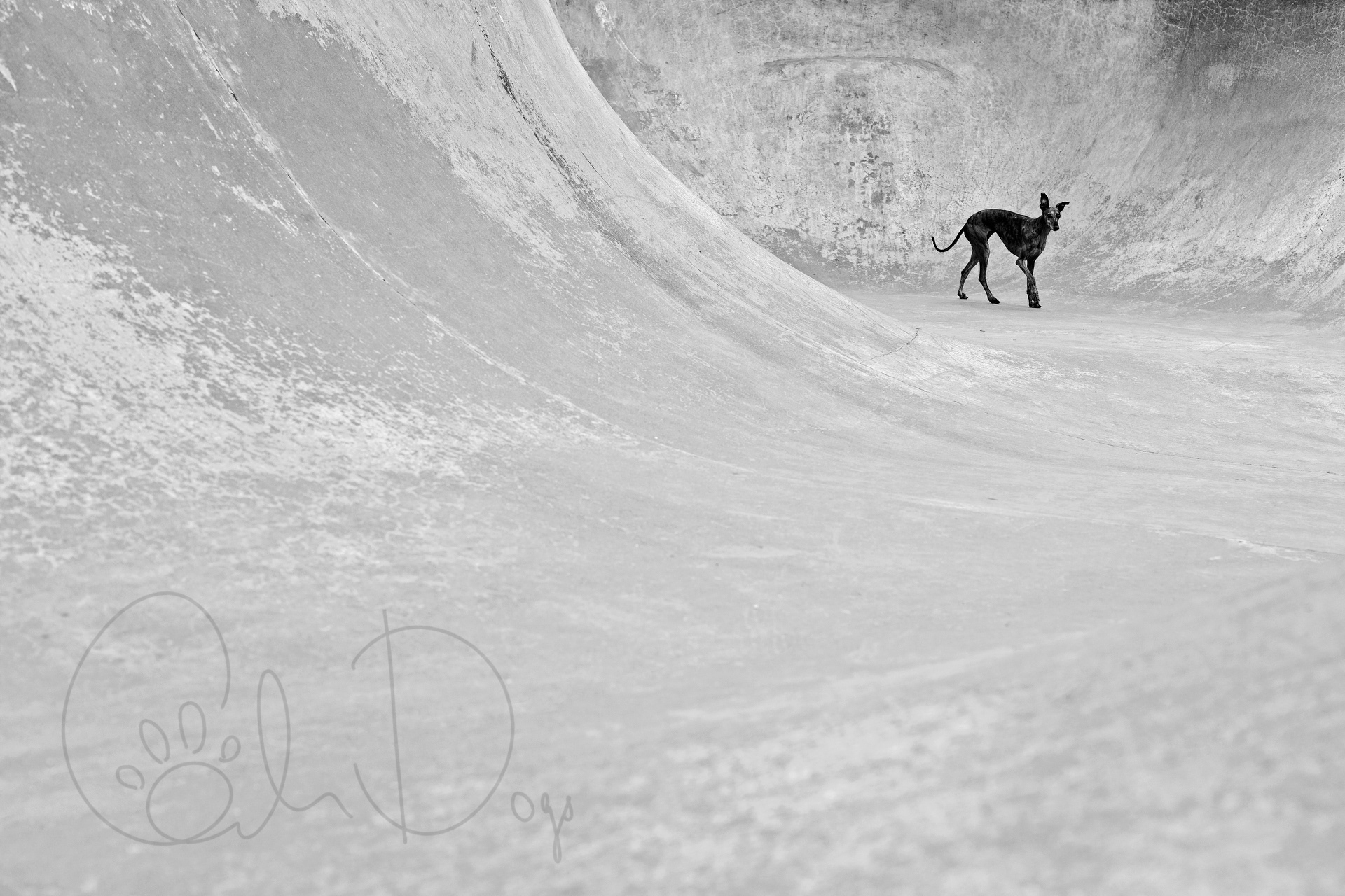 Halfpipe
