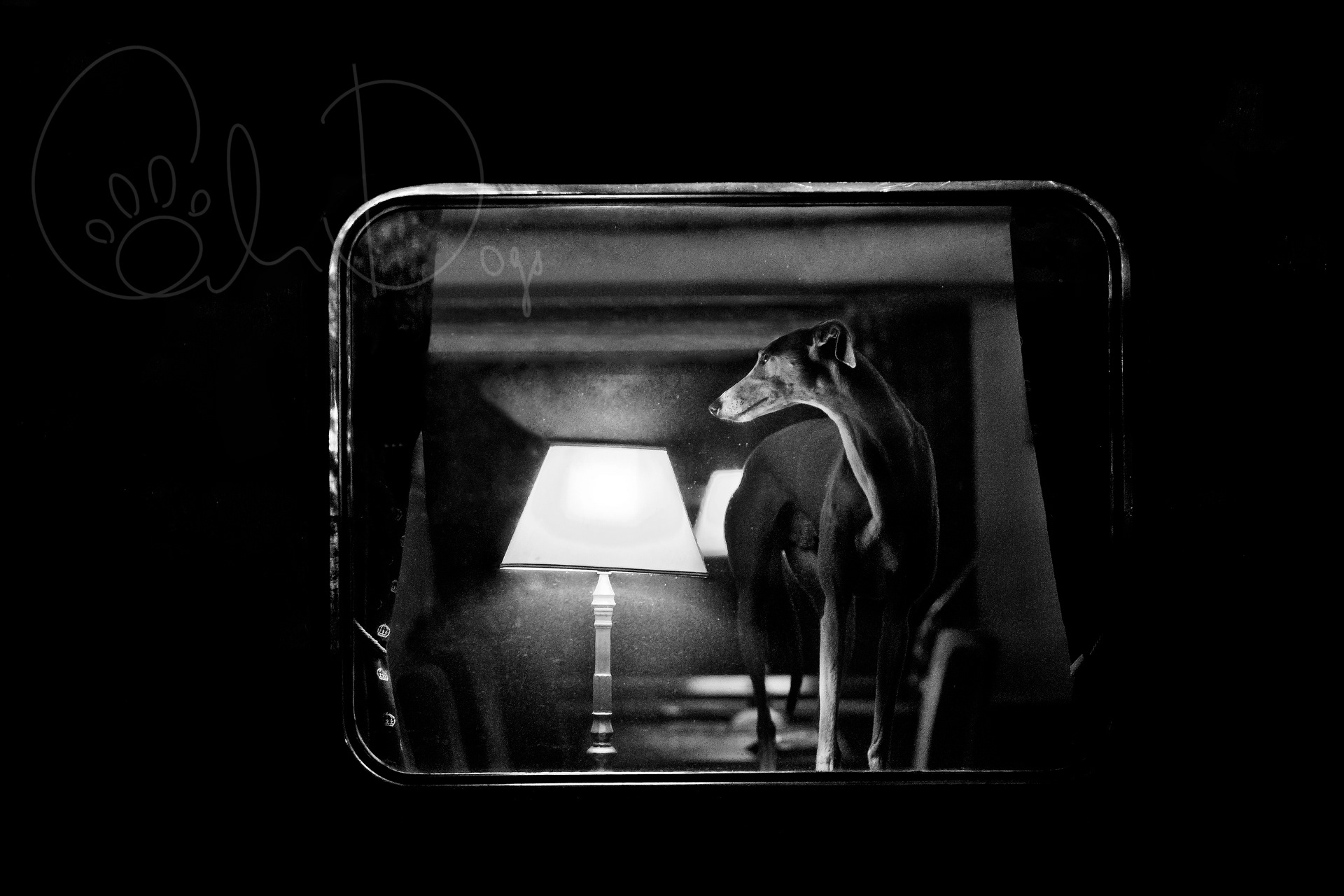 Midnight Train