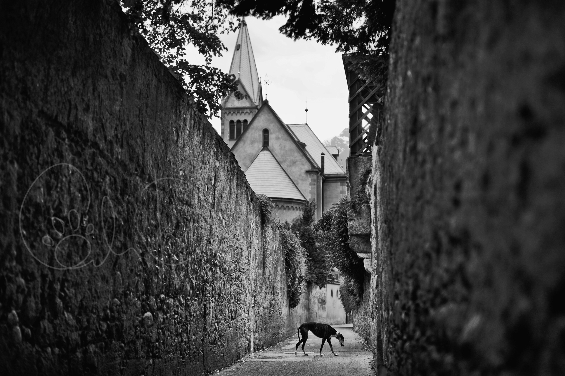Sunday Stroll In Merano