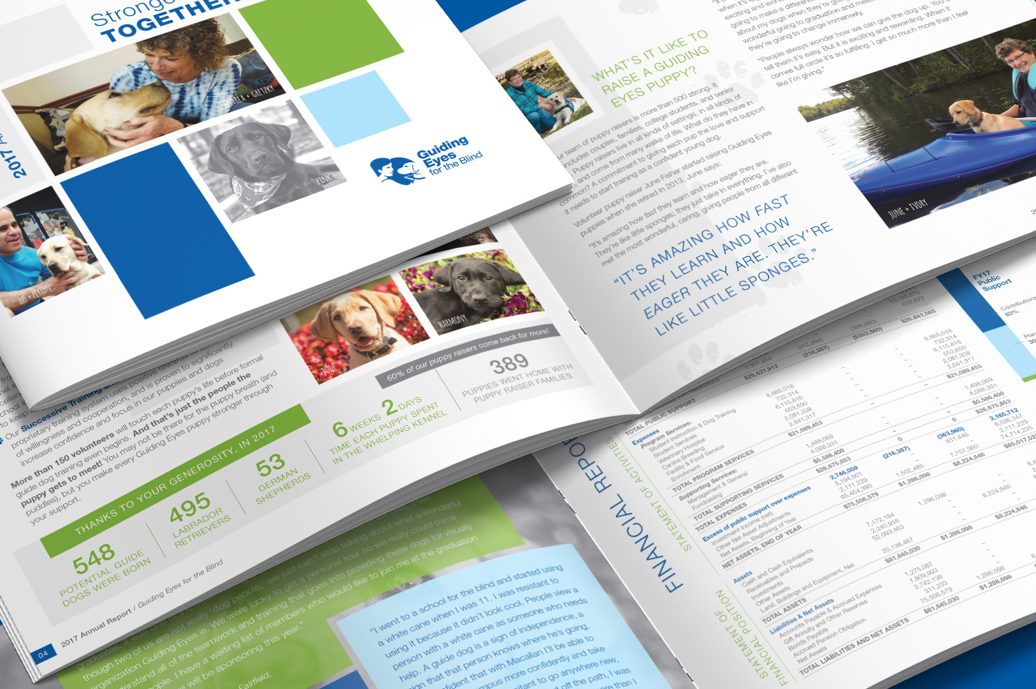 Guiding Eyes for the Blind  |  Annual Report