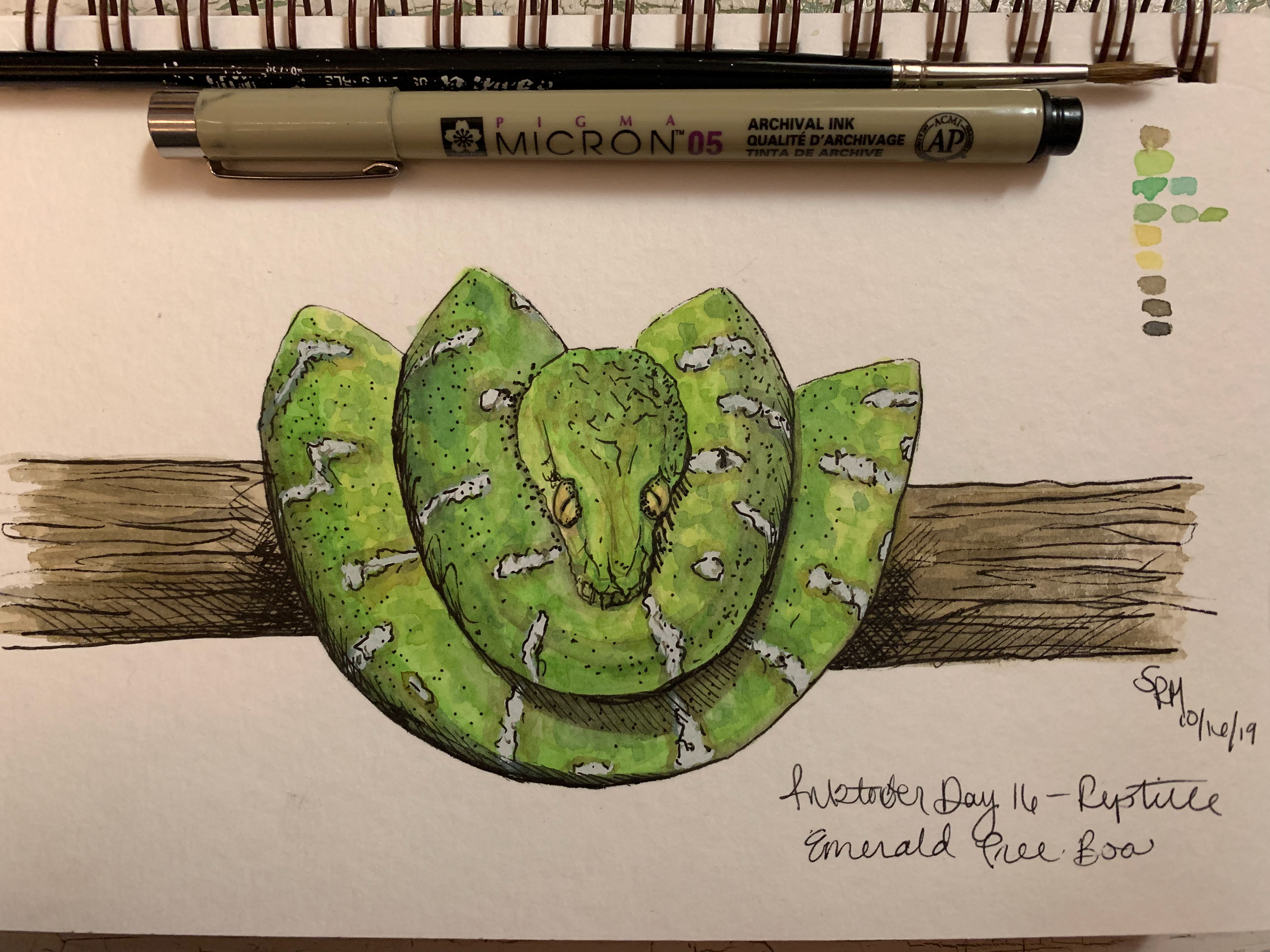 Day 16 - Reptile - Emerald Tree Boa