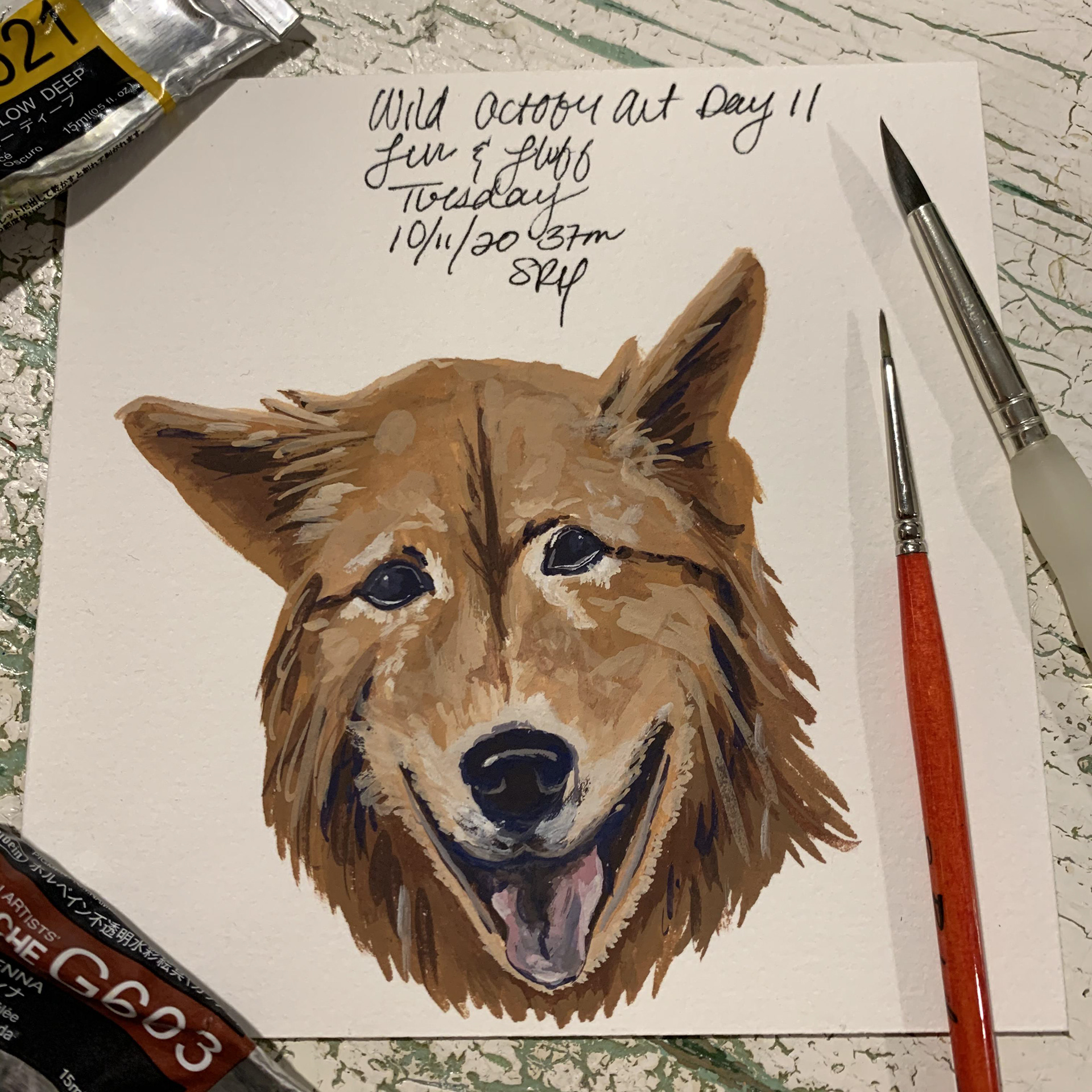 Day 11 - Fur & Fluff - Tuesday