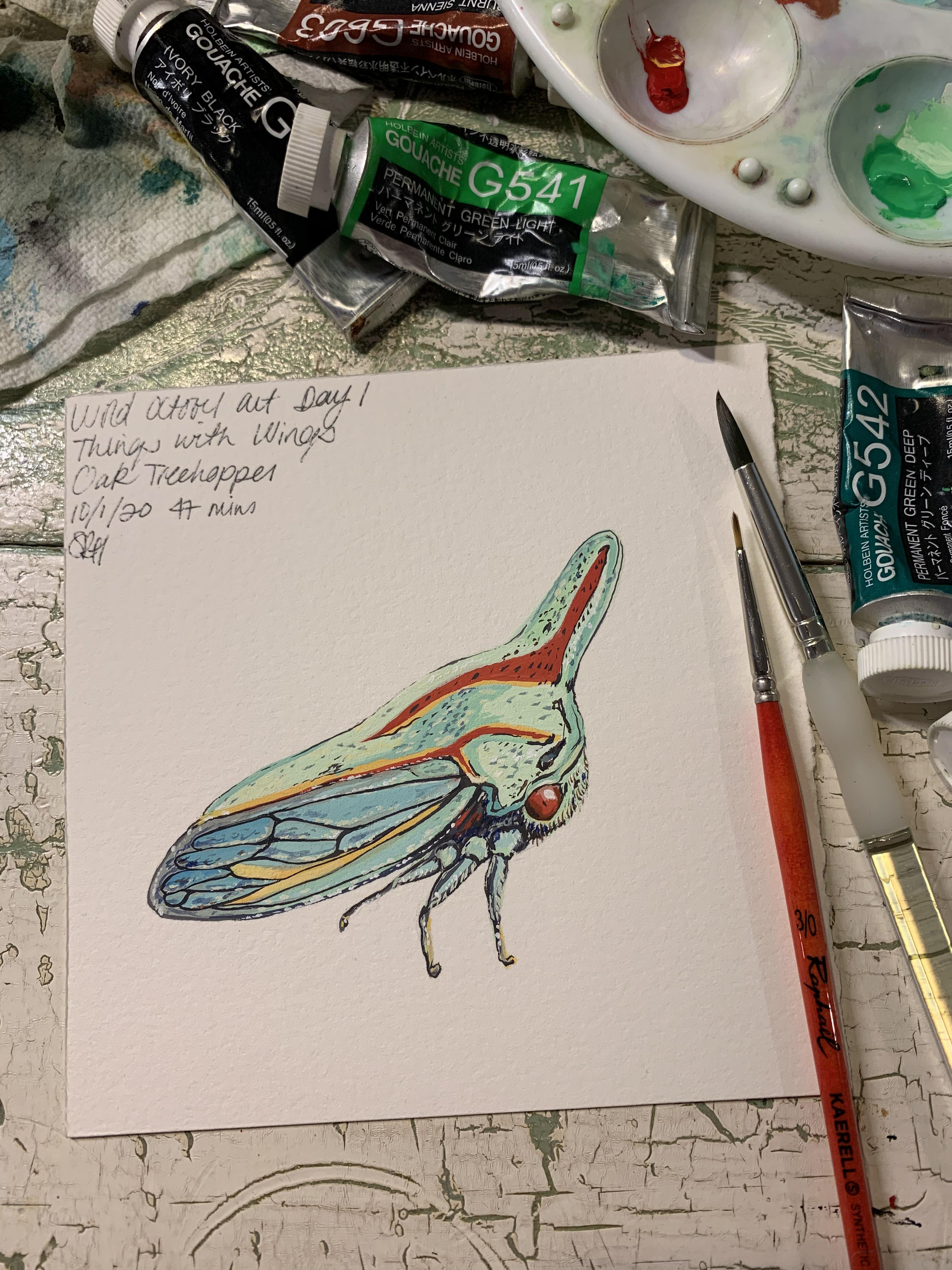 Day 1 - Things with Wings - Oak Treehopper