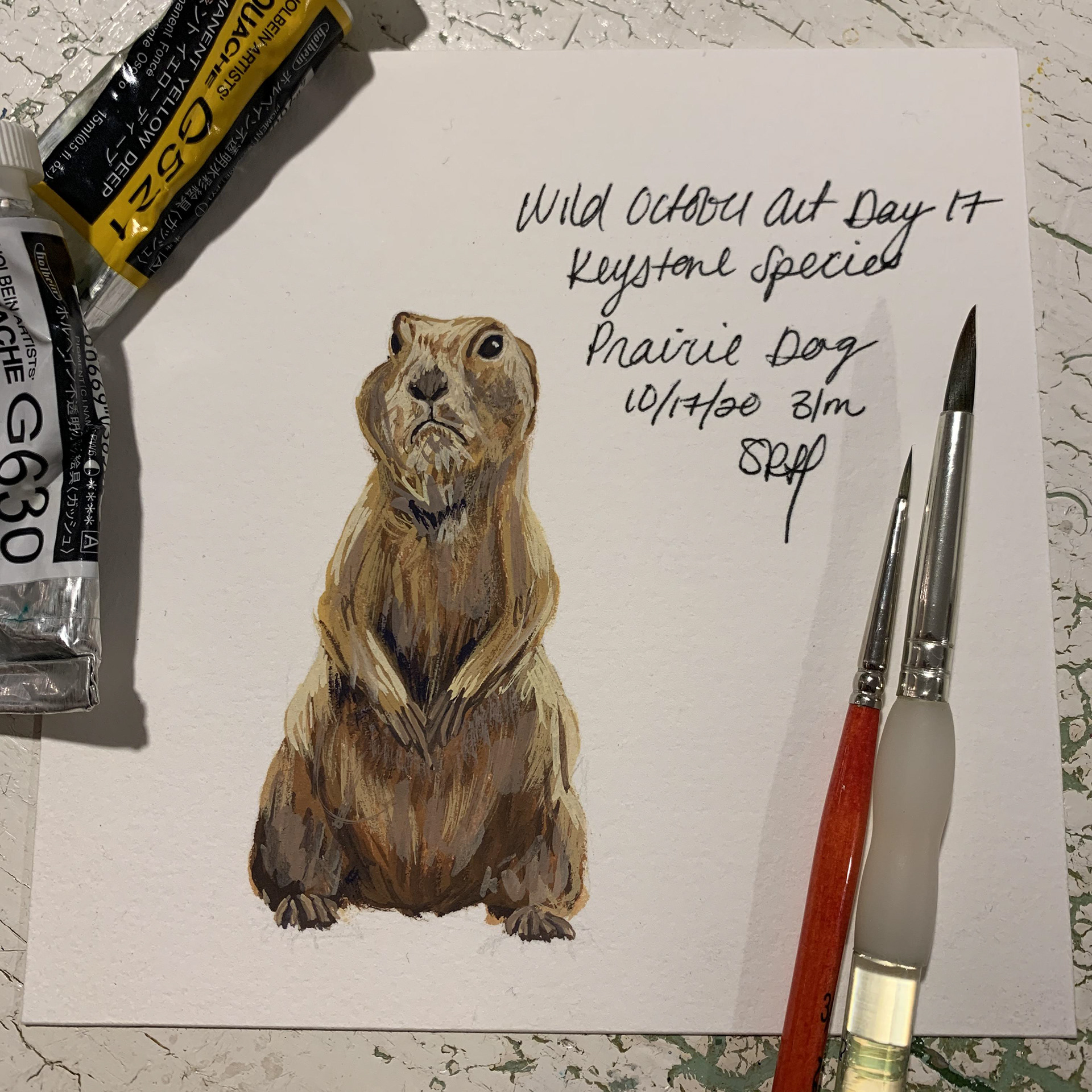 Day 17 - Keystone Species - Prairie Dog