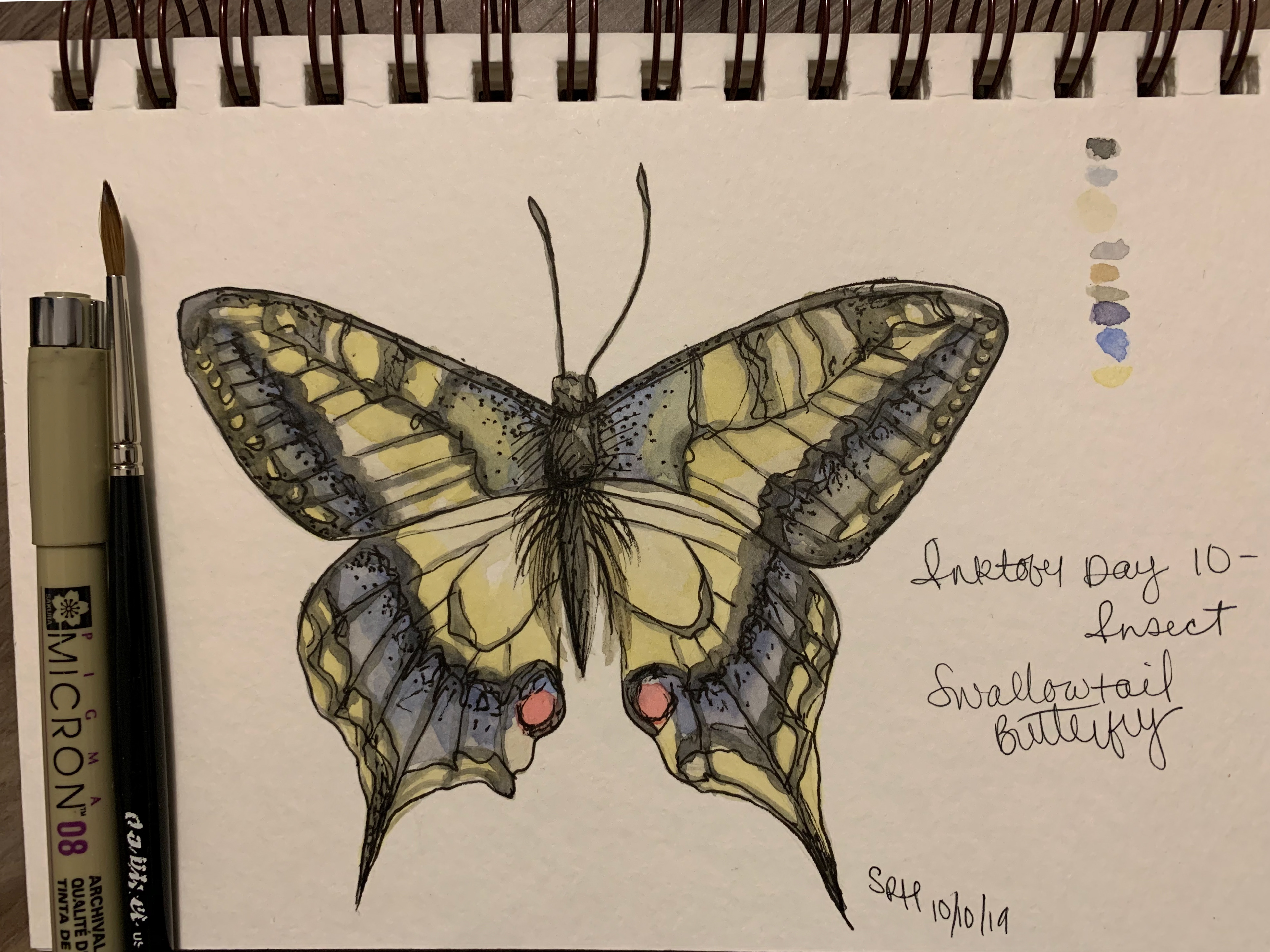 Day 10 - Insect - Swallowtail Butterfly