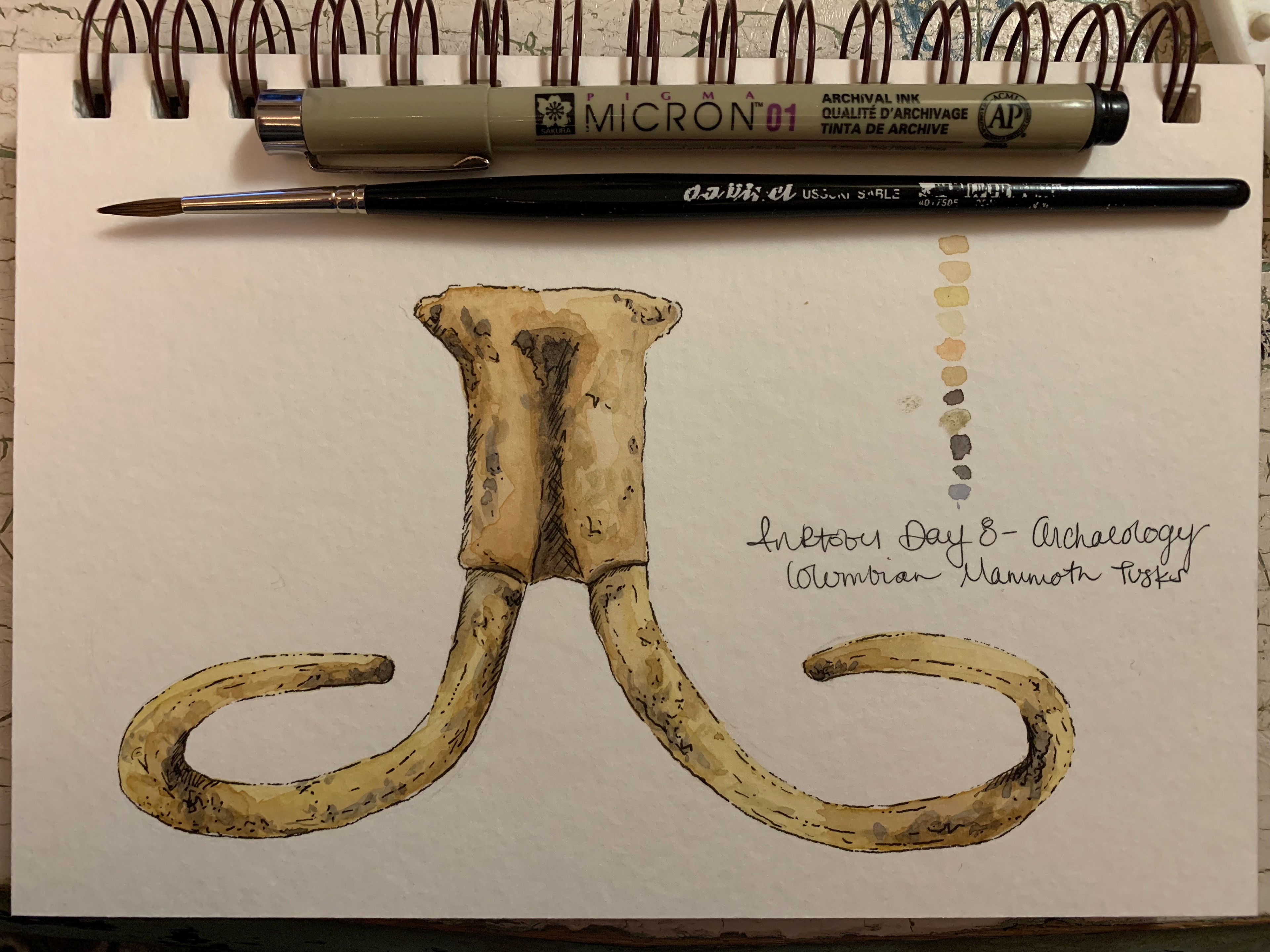 Day 8 - Archaeology - Columbian Mammoth Tusks