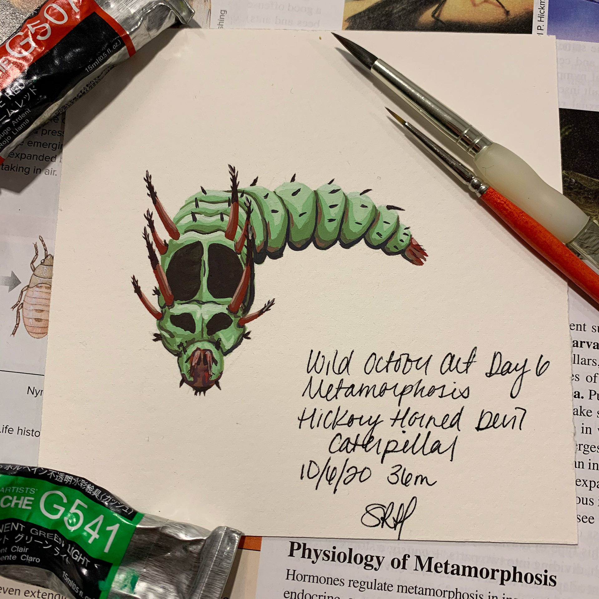 Day 6 - Metamorphosis - Hickory Horned Devil Caterpillar