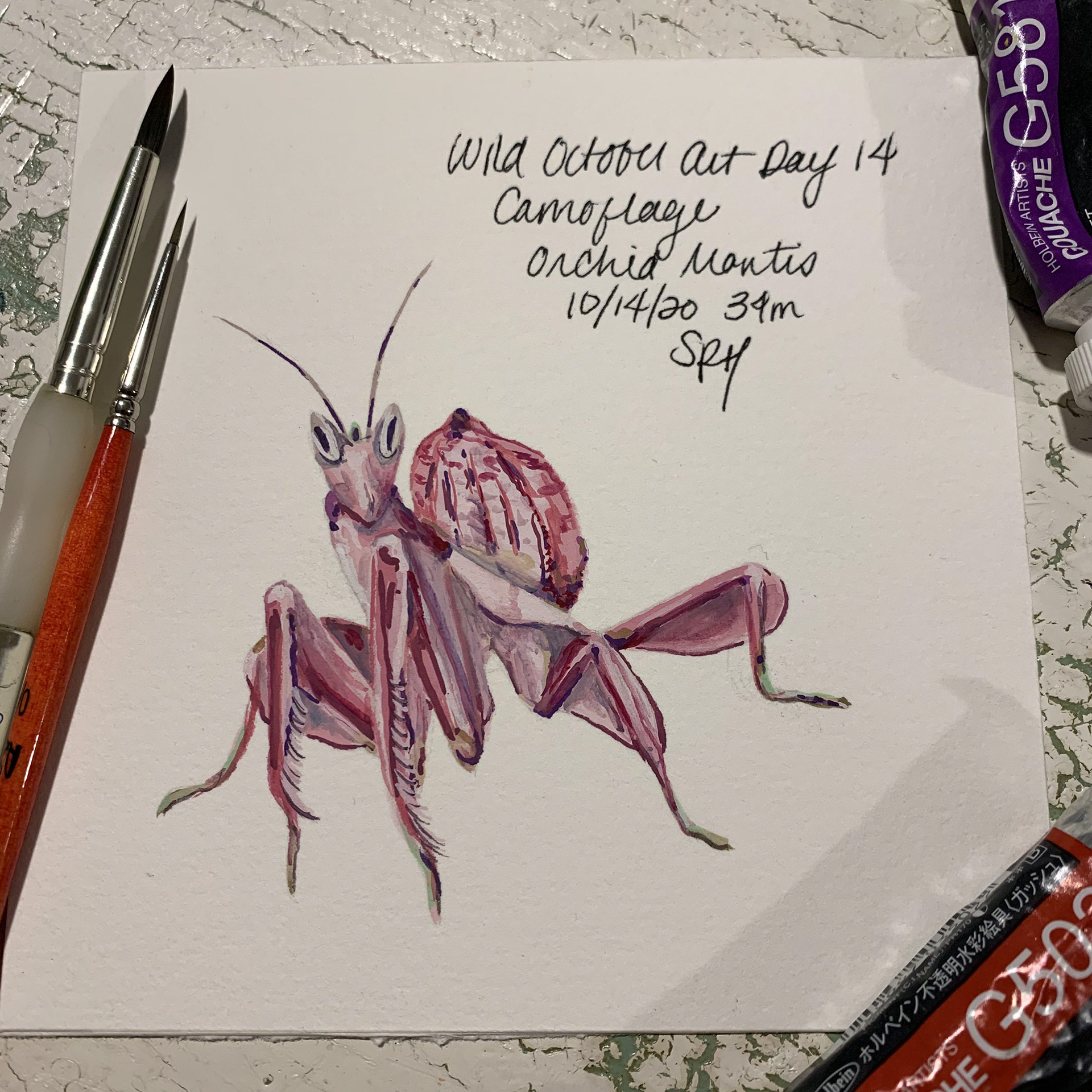 Day 14 - Camouflage - Orchid Mantis