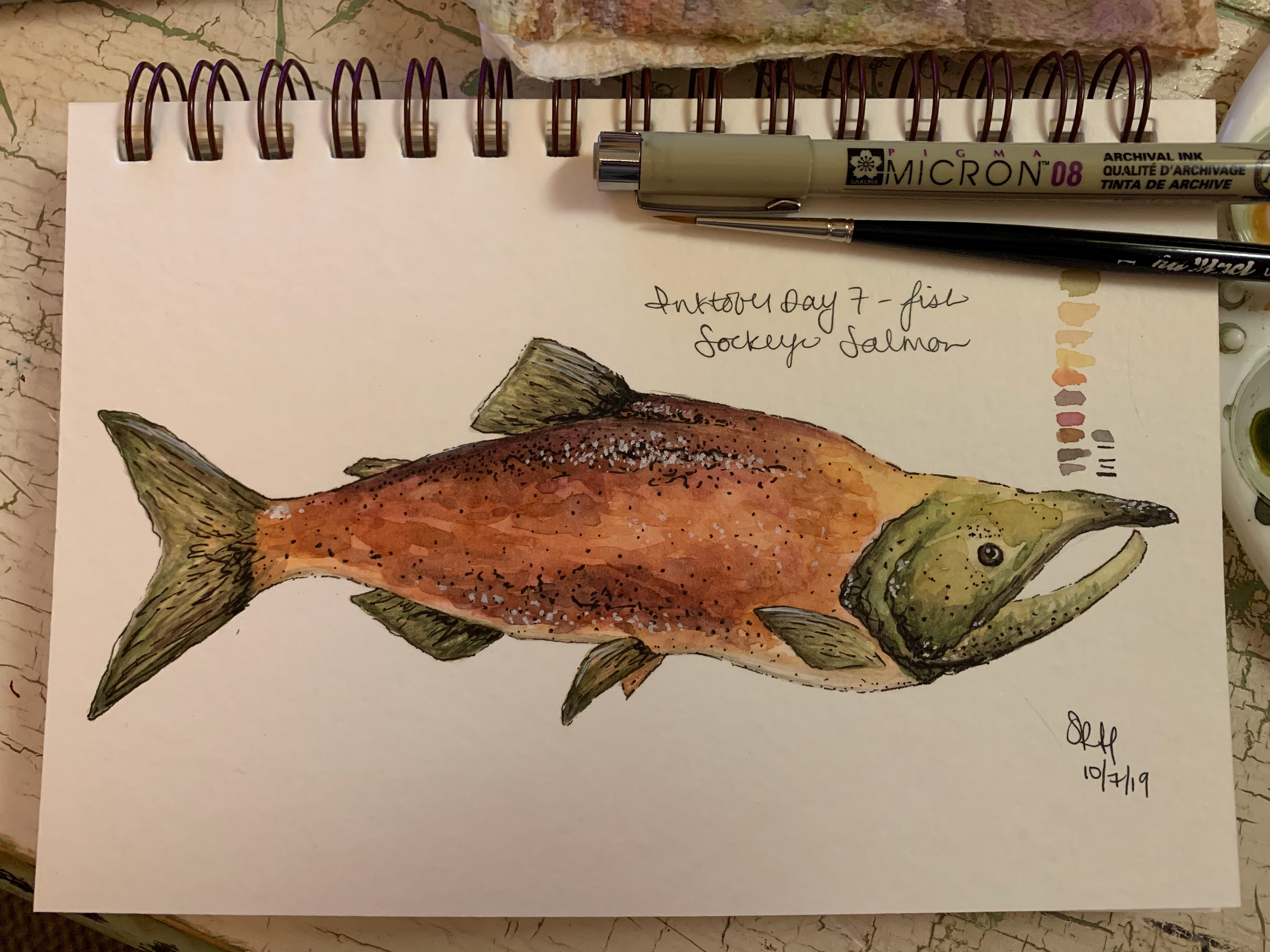 Day 7 - Fish - Sockeye Salmon