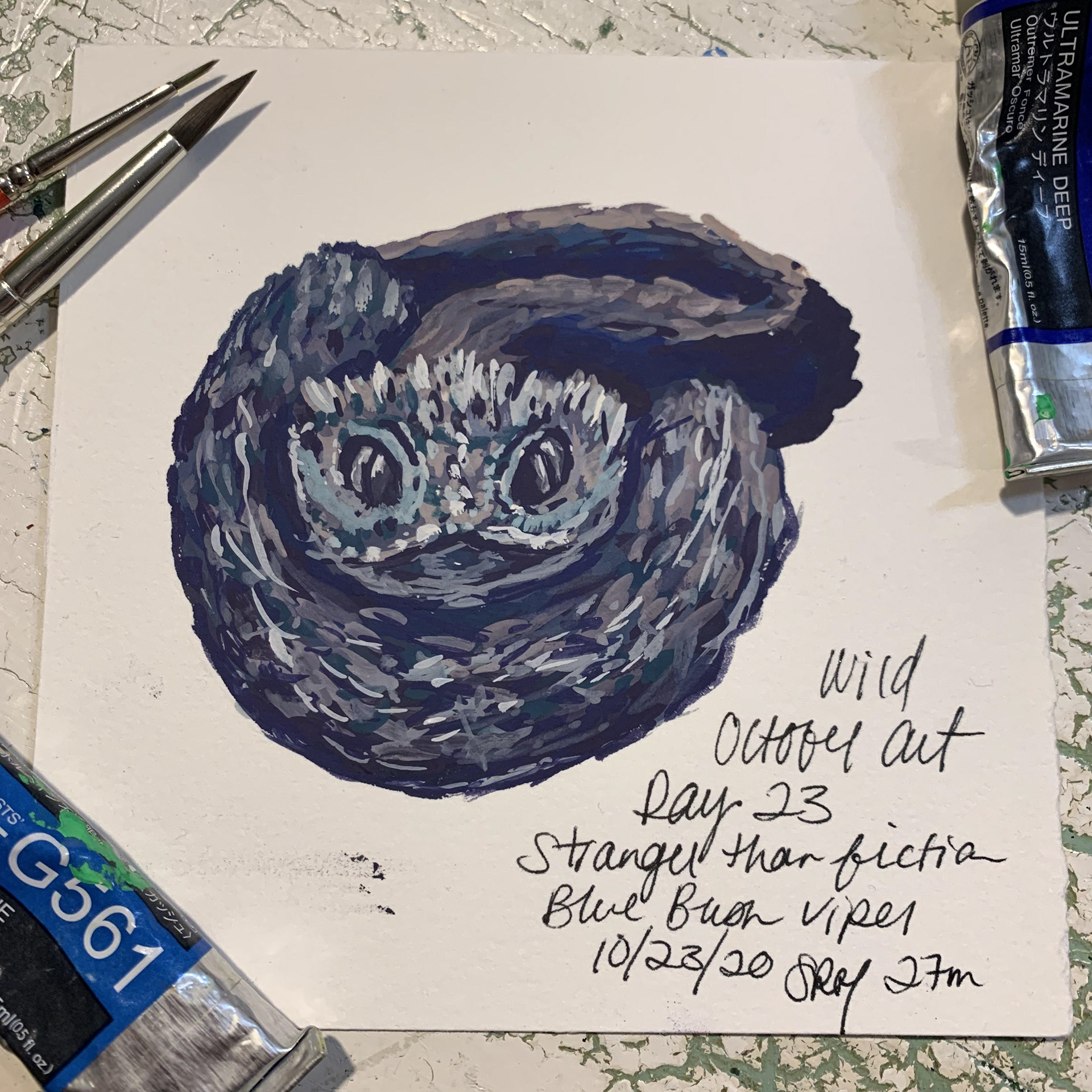 Day 23 - Stranger Than Fiction - Blue Bush Viper
