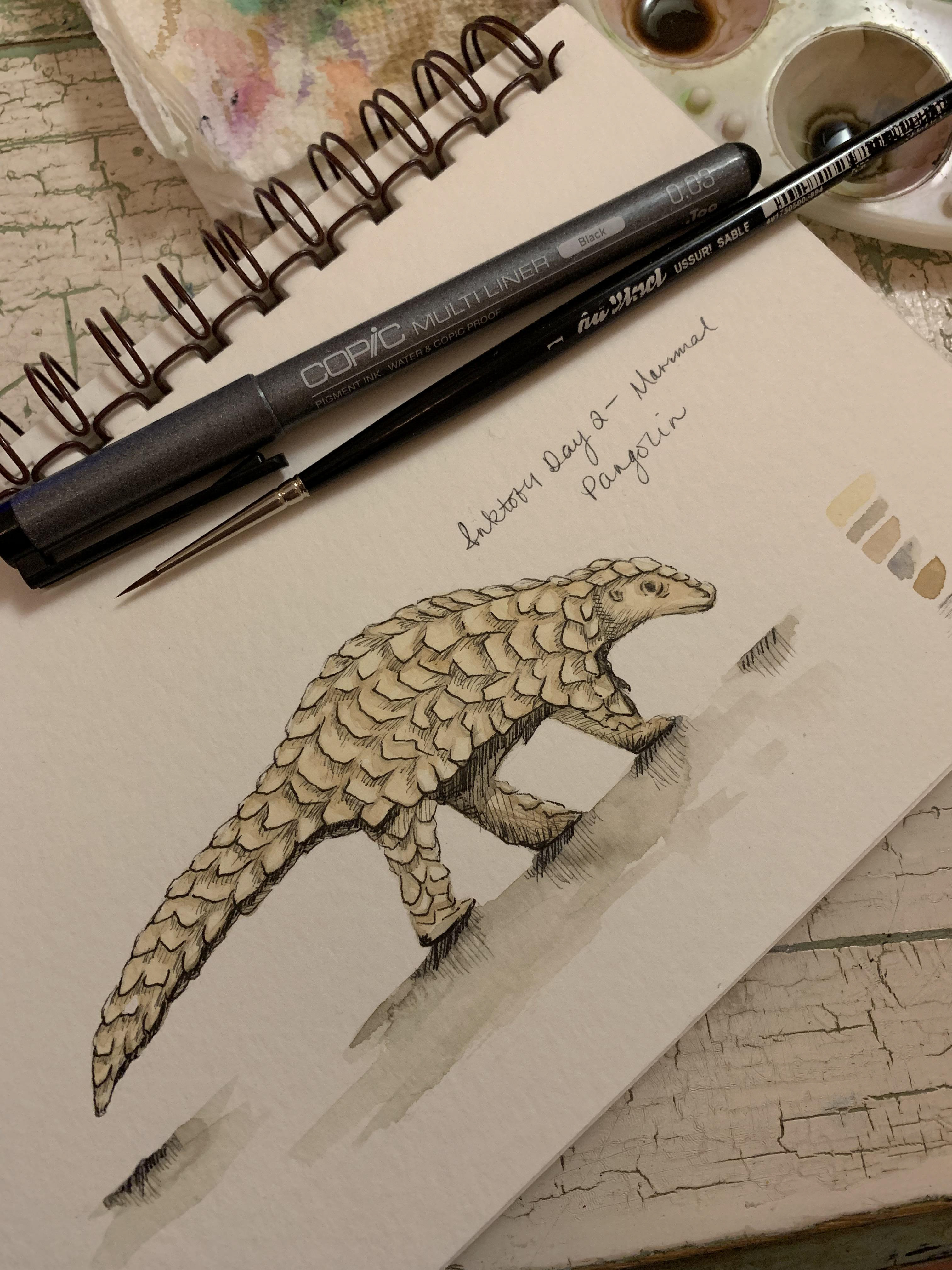Day 2 - Mammal - Pangolin