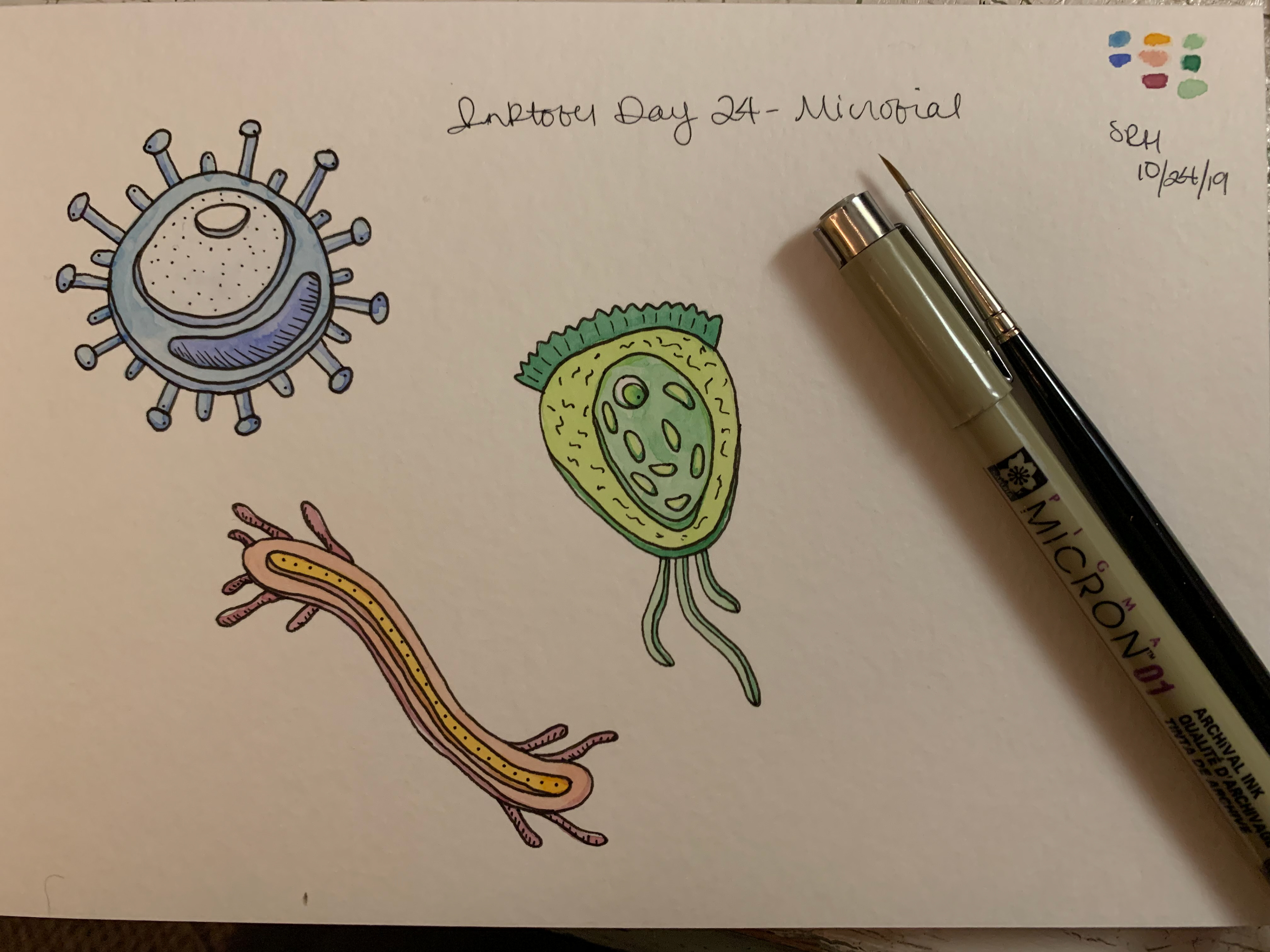 Day 24 - Microbial