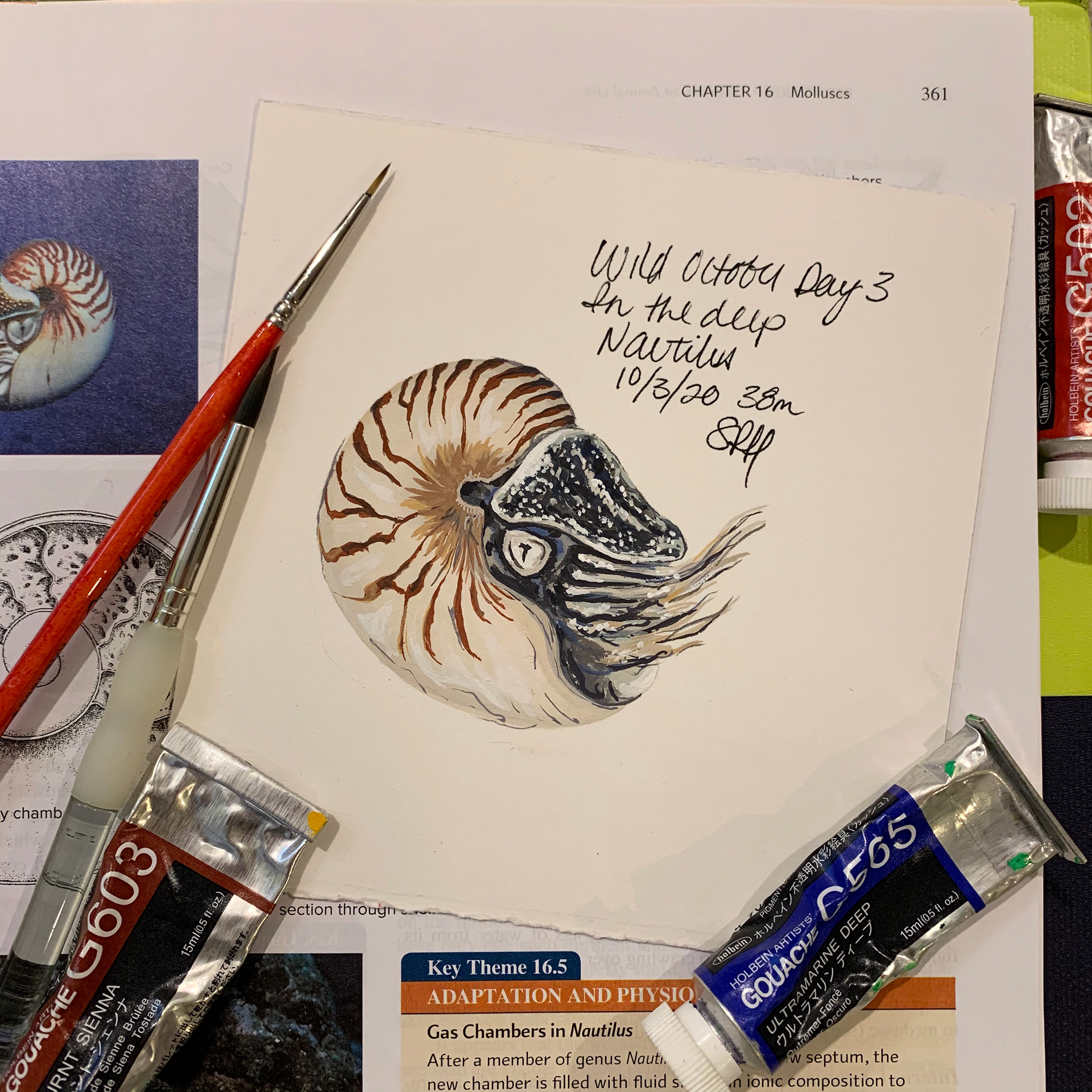 Day 3 - In the Deep - Nautilus