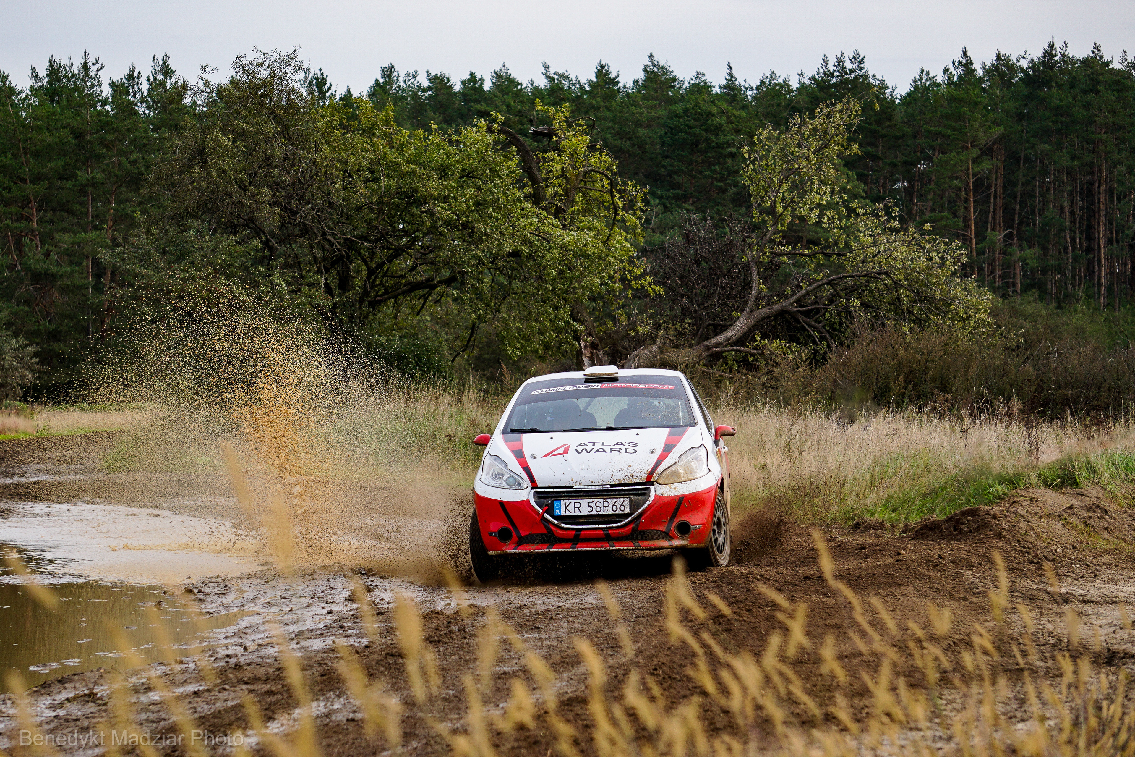 Peugeot 208 R2 | Motul Gravel Cup, Polska | 2022