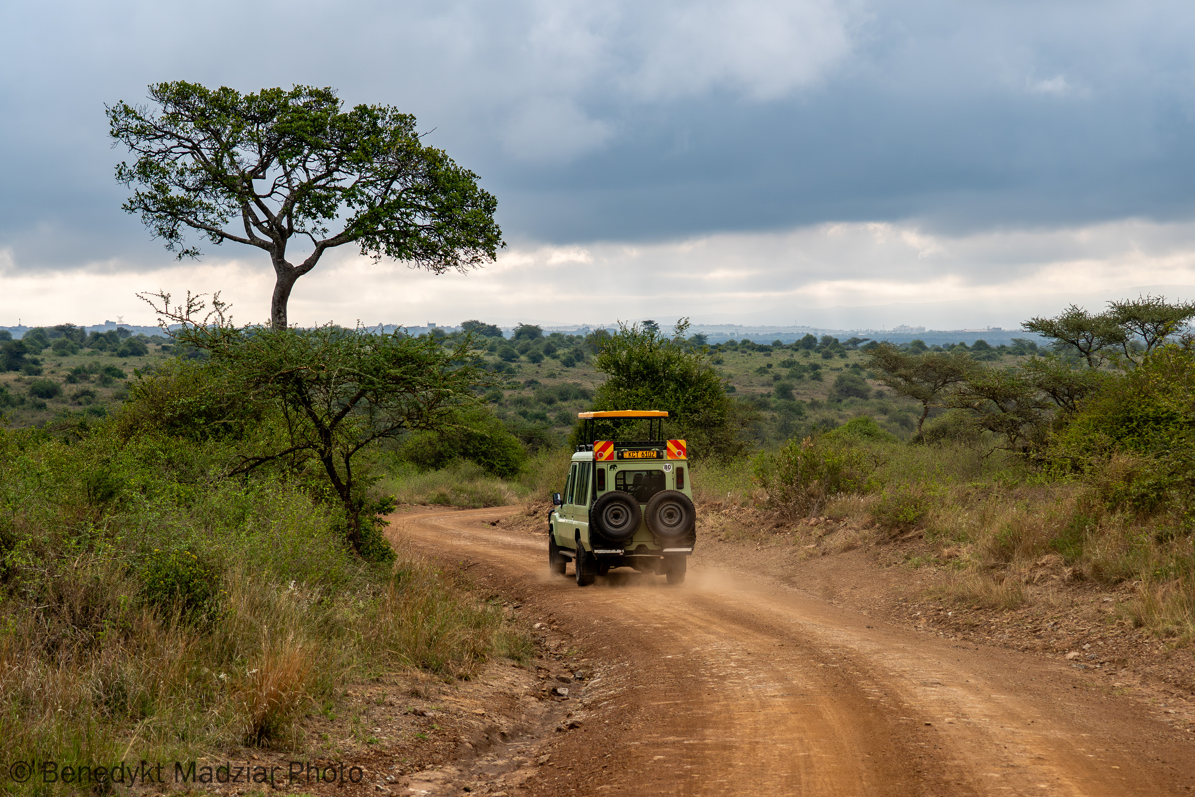 Park Narodowy Nairobi, Kenia | 2025